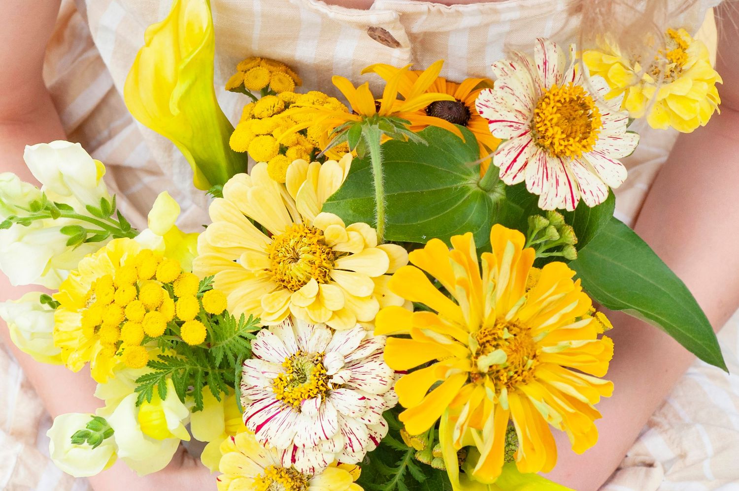 Close-up of a bouquet of yellow and white zinnias and wildflowers held by a person.