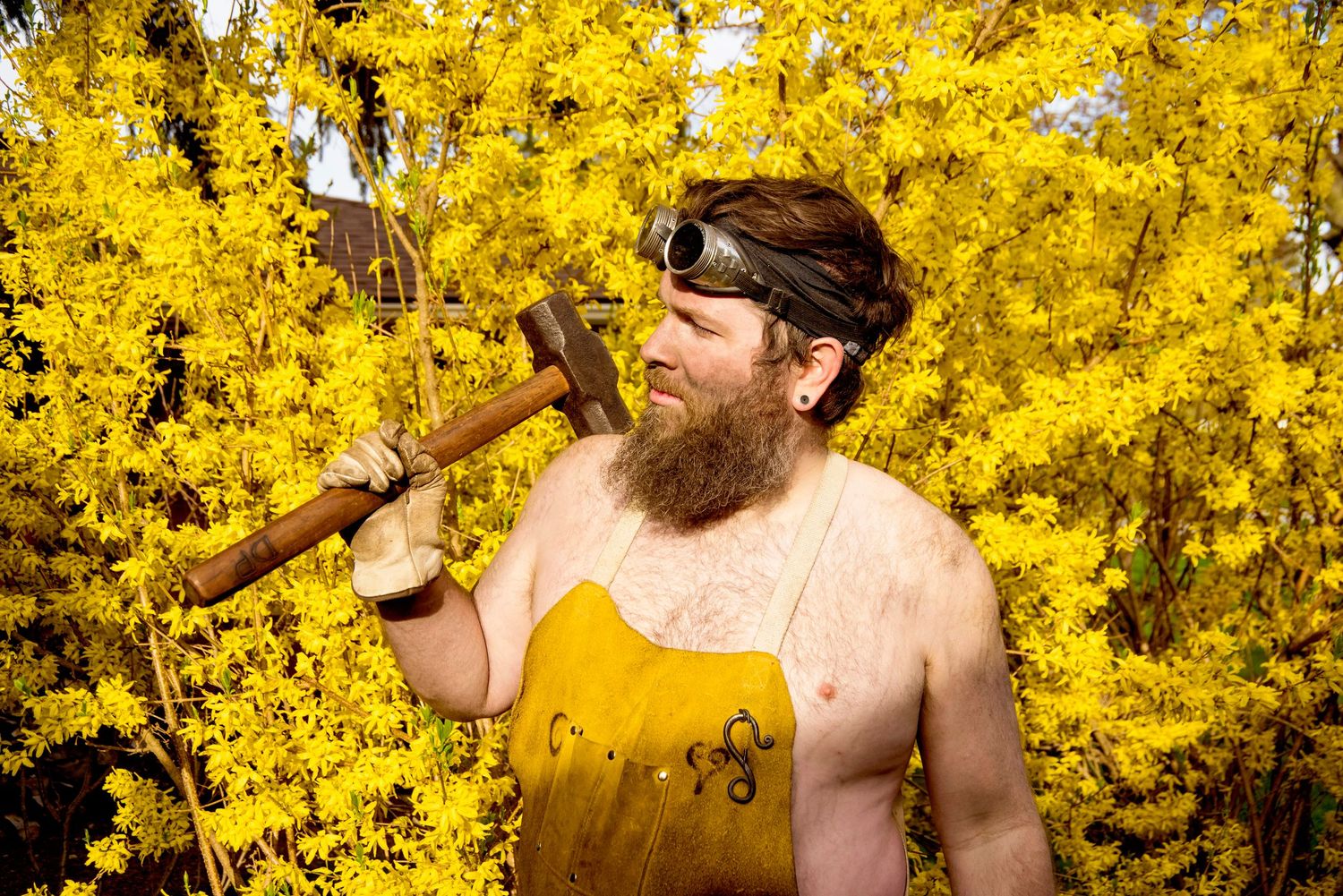 Shirtless bearded man with goggles holding a hammer over shoulder in front of bright yellow forsythia bushes.