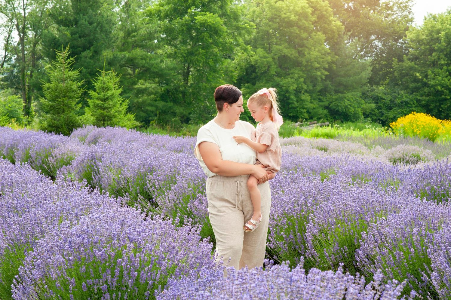 Father holds young daughter in his arms while standing together in a beautiful purple lavender field.