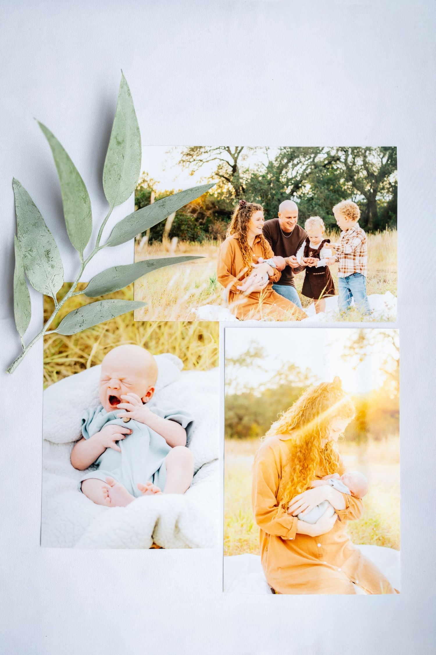 Series of outdoor family portraits arranged with eucalyptus leaves against white background.