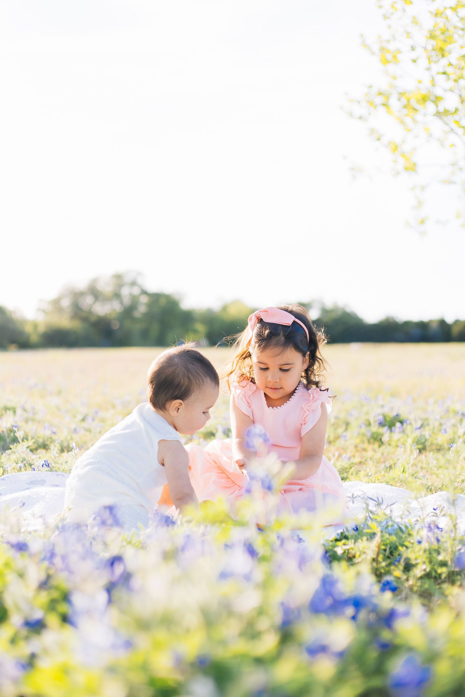 Two young children sitting in a sunlit field of blue wildflowers, wearing pink and white outfits.