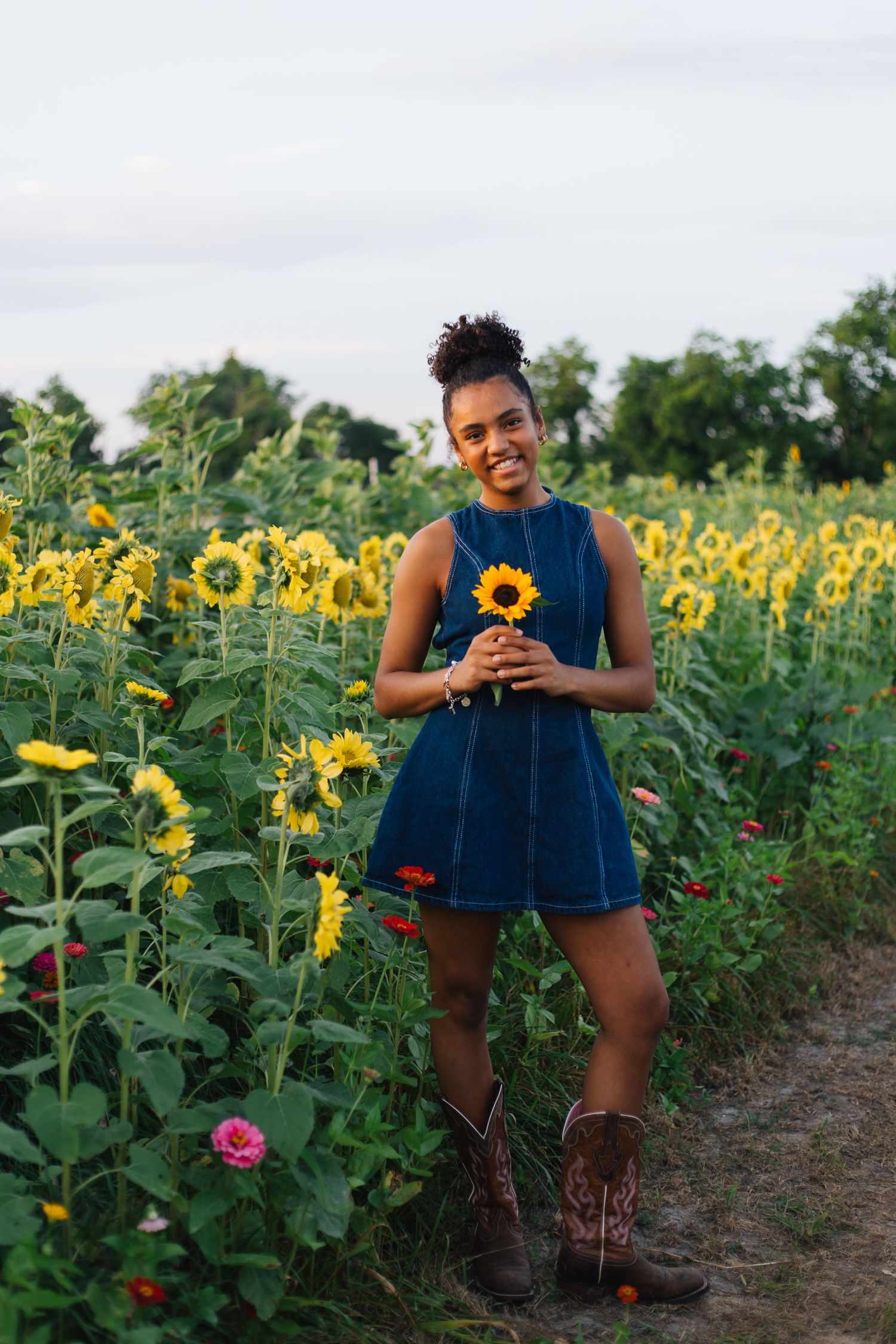 Young woman in denim dress and cowboy boots holding a sunflower while standing in a vibrant sunflower field.