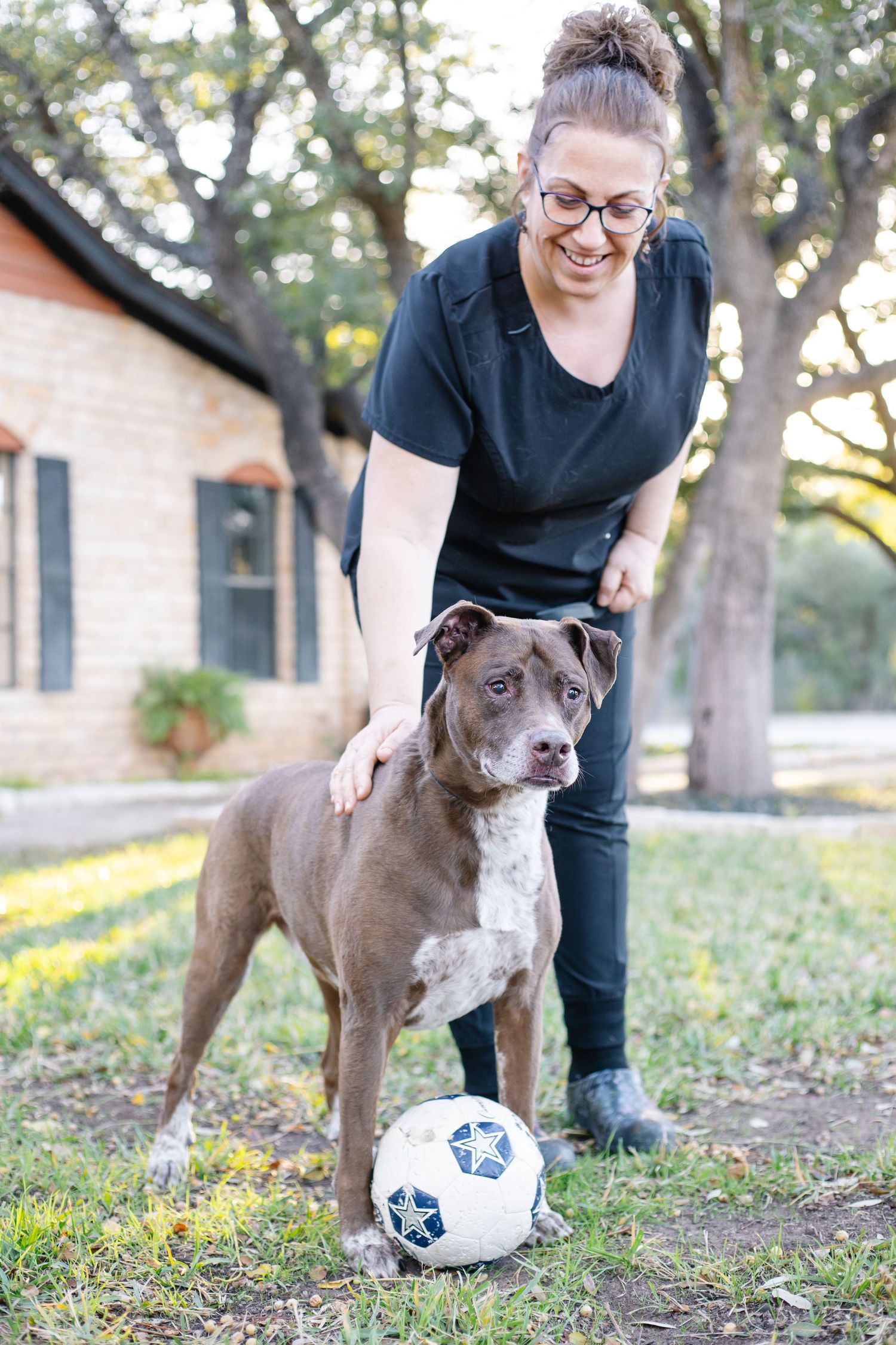 Brown pit bull playing with soccer ball in grassy yard while owner watches.