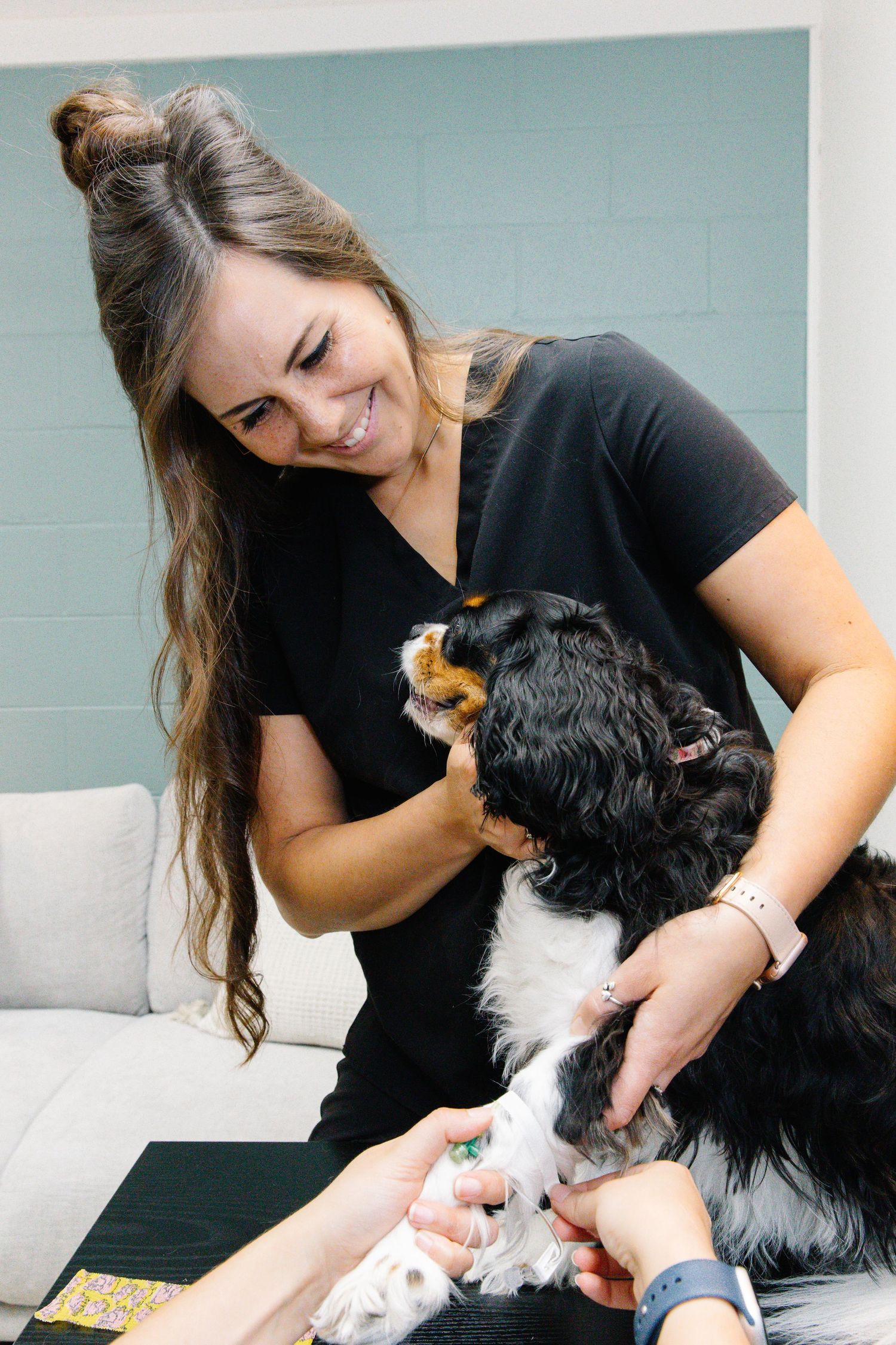 Smiling woman in black scrubs gently holding a Cavalier King Charles Spaniel during a veterinary examination.