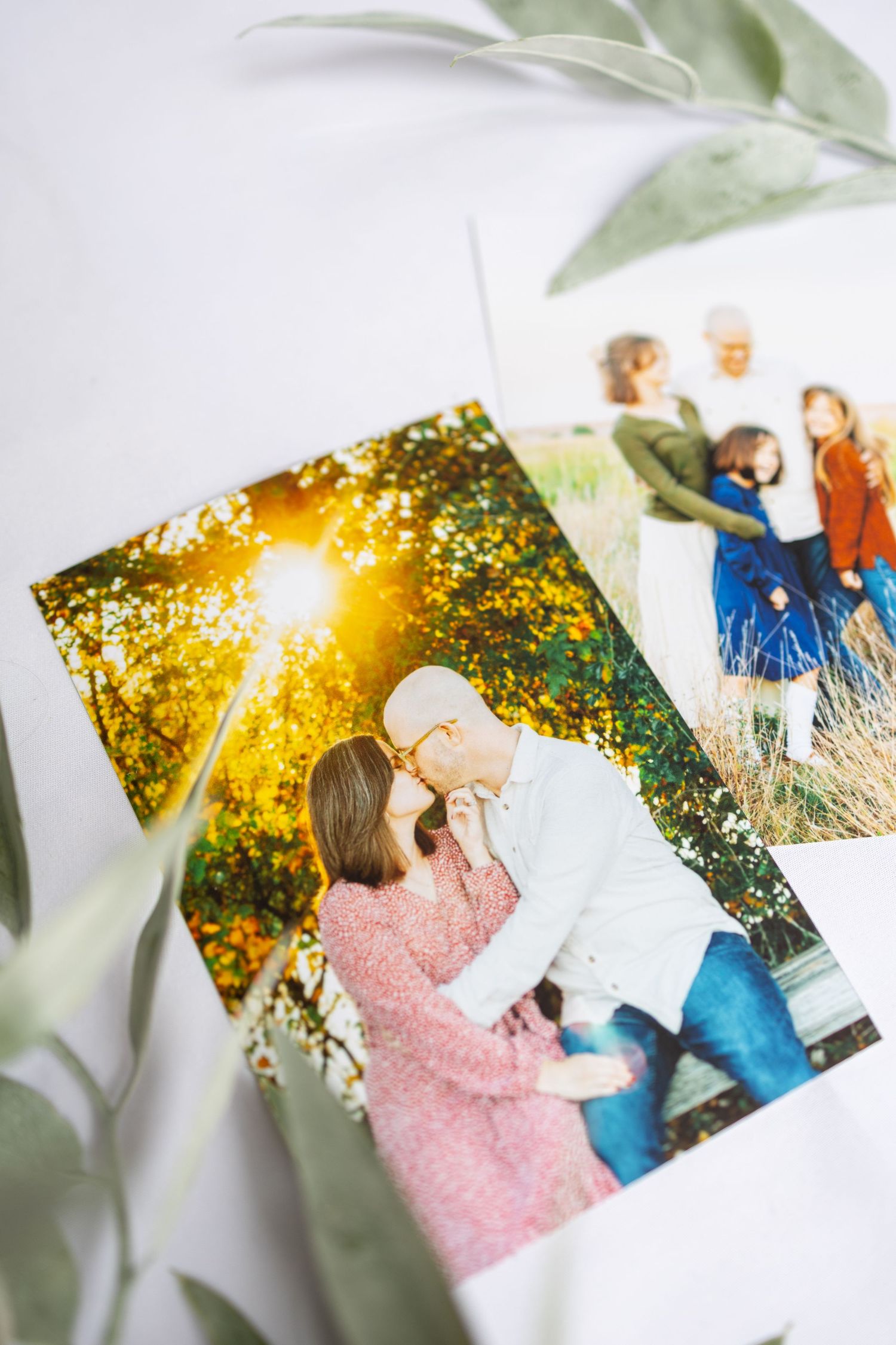 Artistically arranged family photographs with golden sunlight and eucalyptus leaves on white surface.