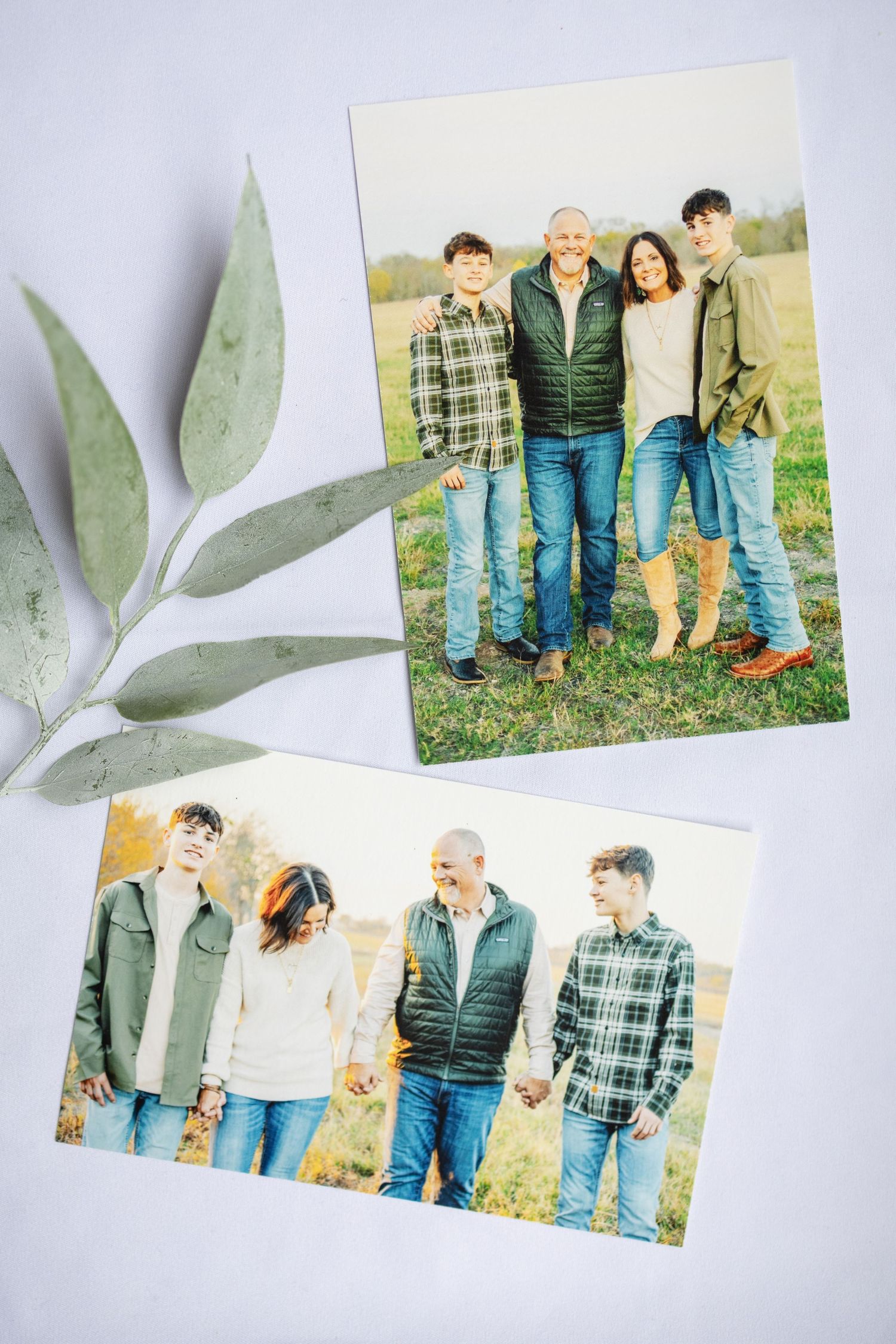 Collection of outdoor family portraits with eucalyptus leaves arranged on white background.