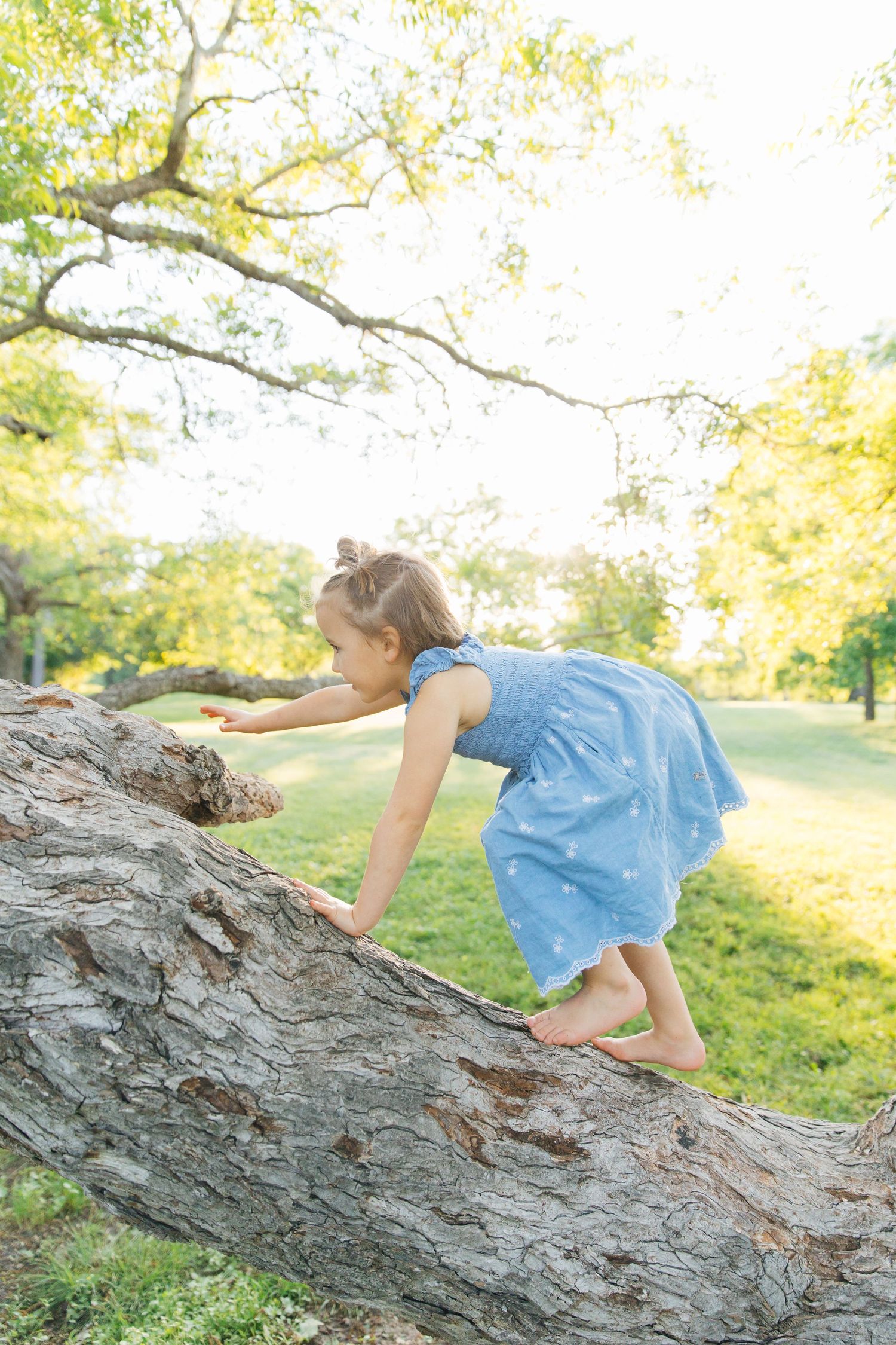 A young girl in a blue dress climbs a large fallen tree trunk in a sunny green park.