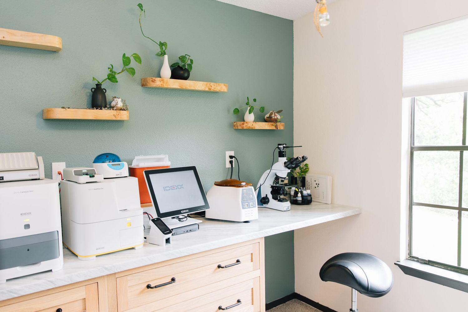 Modern home office with sage green wall, floating wood shelves with plants, white desk, microscope, and medical equipment.
