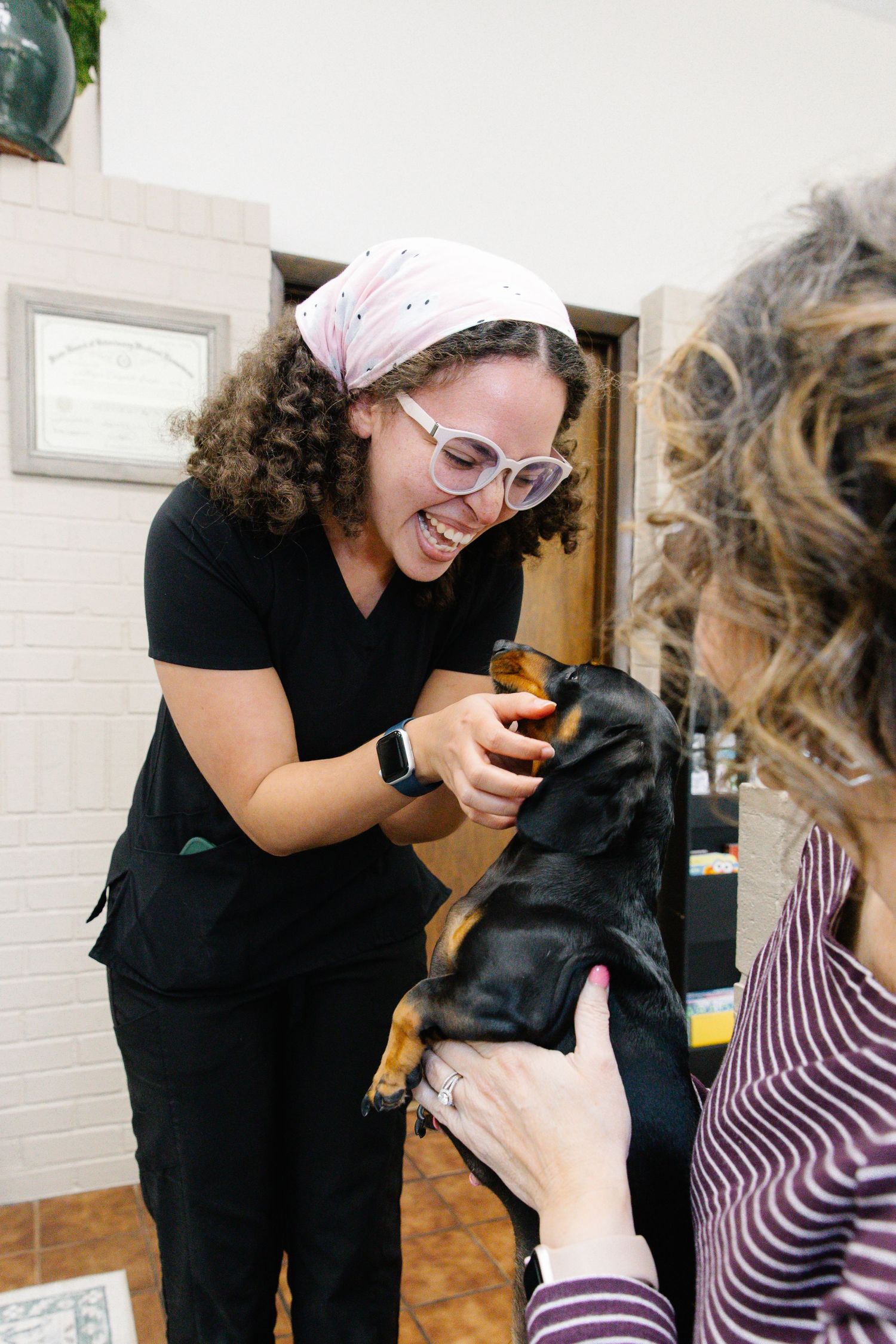 Smiling veterinarian with curly hair and pink glasses examining a dachshund puppy held by its owner indoors.