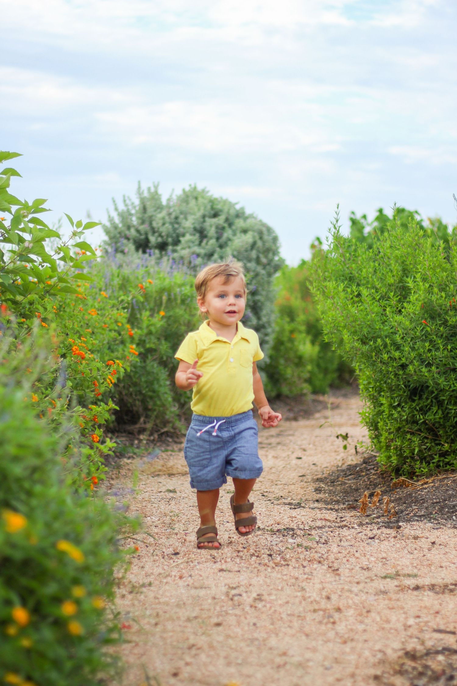 Toddler in yellow shirt exploring garden path between green shrubs.