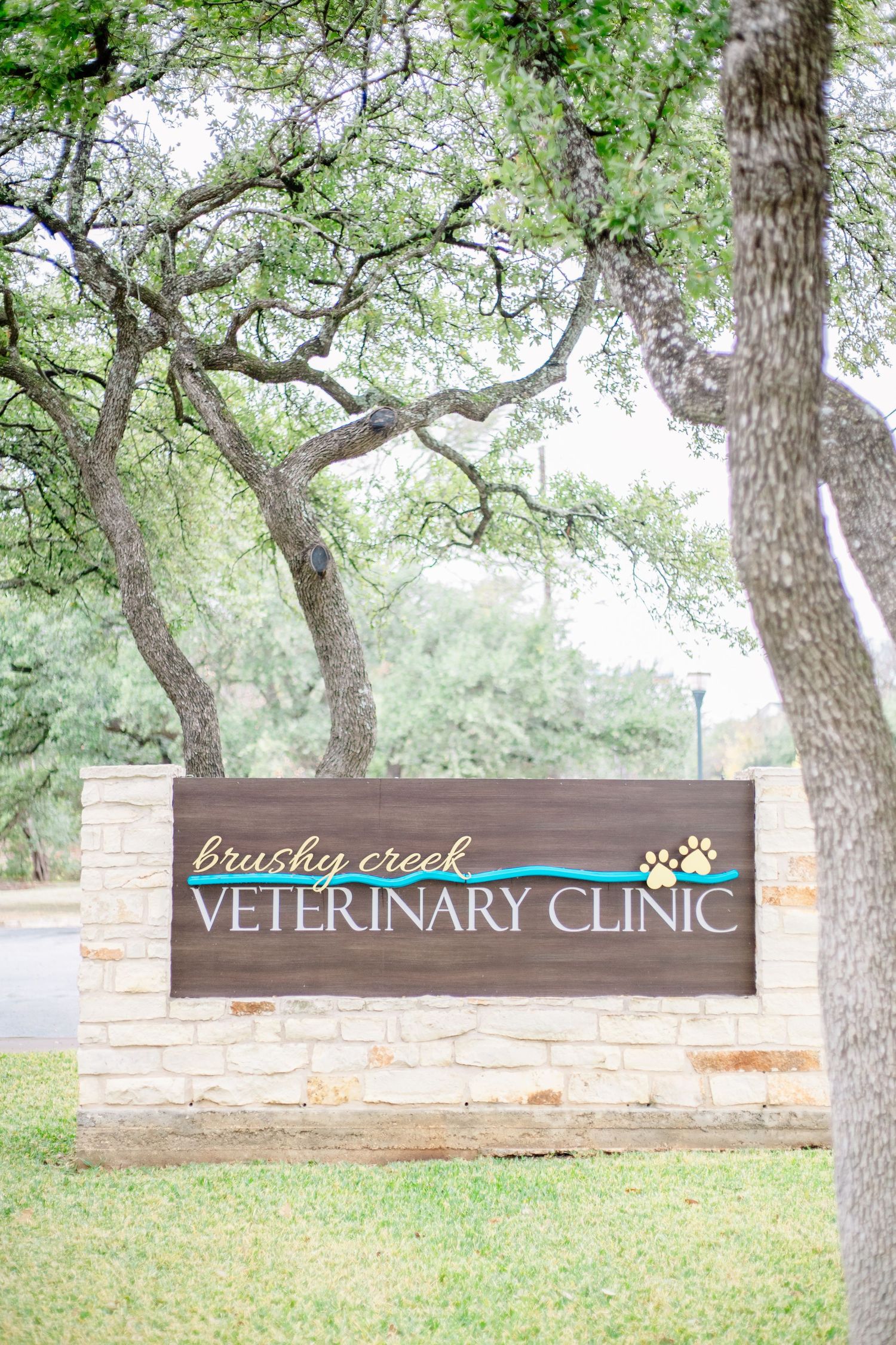 Brushy Creek Veterinary Clinic wooden sign mounted on stone wall surrounded by trees.