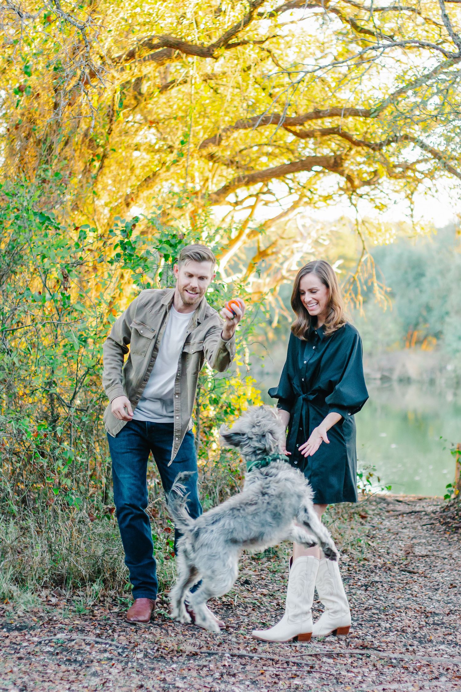 A couple plays with their gray dog under yellow autumn trees near a lake.