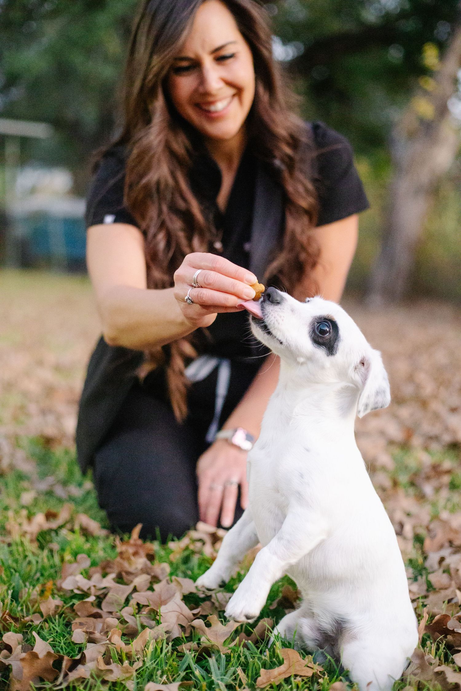 A veterinary professional plays with an energetic white dog in fallen autumn leaves.