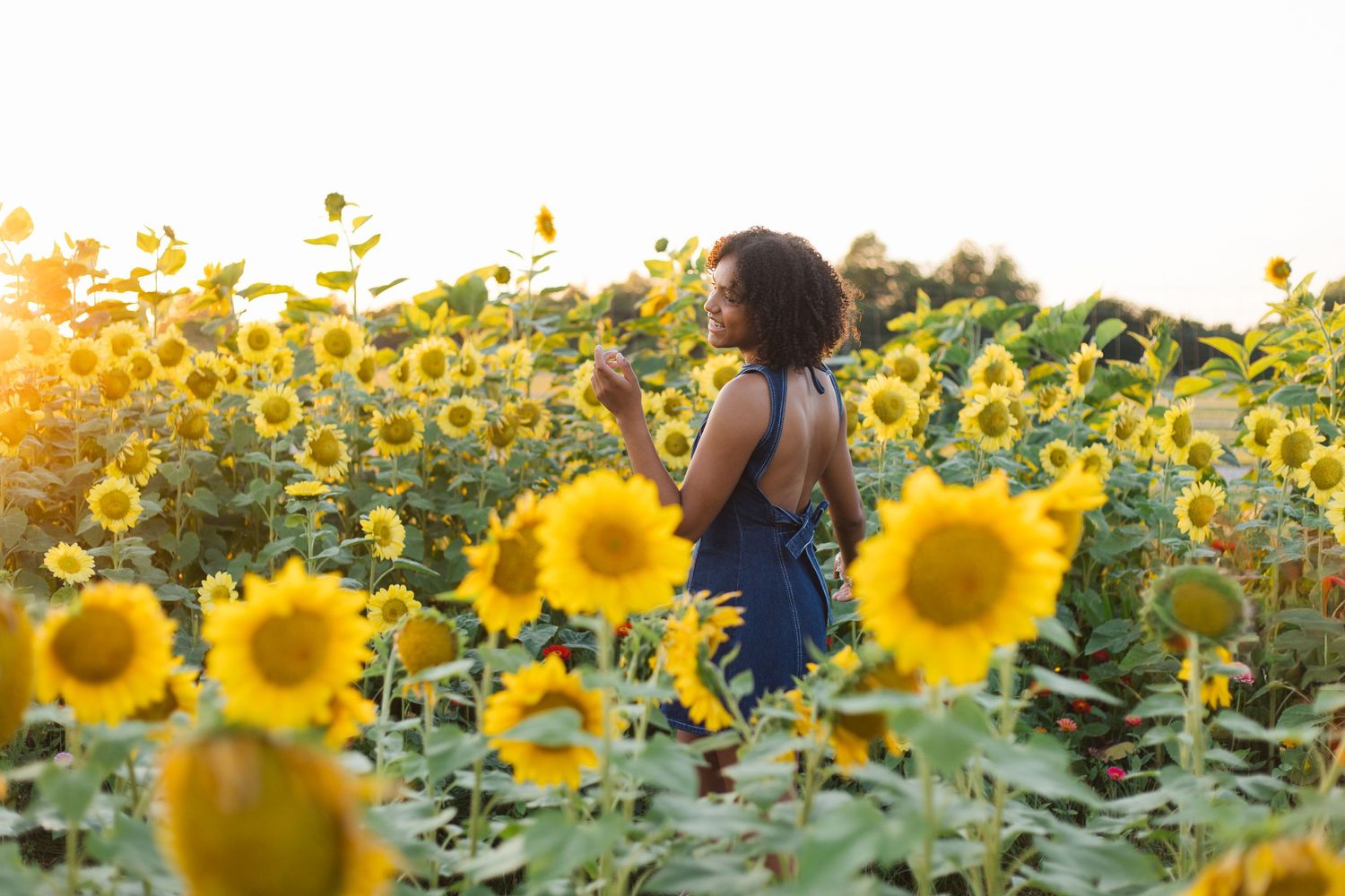 A young Black woman in a blue dress walks through a vibrant sunflower field bathed in golden sunlight.