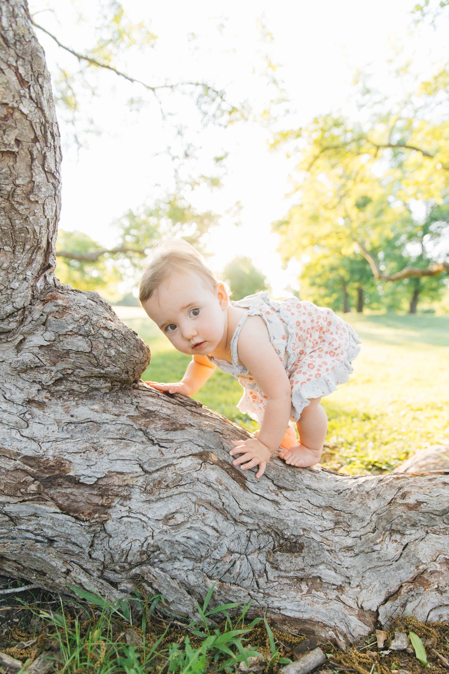 A curious baby in a floral romper climbs on a large tree trunk in a sunny green park.