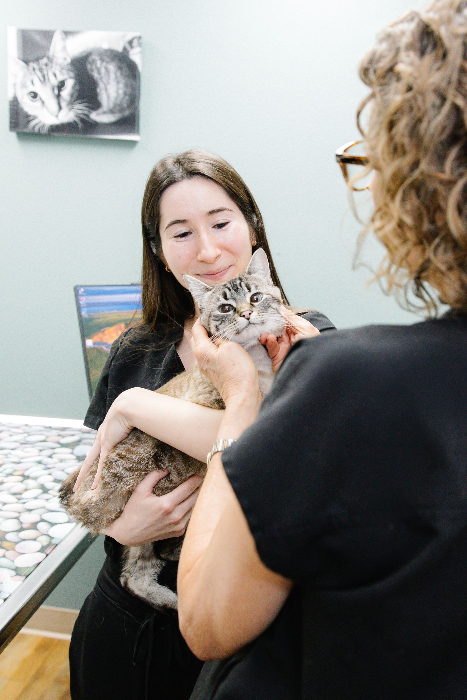 A woman holds a tabby cat while a curly-haired person in a veterinary clinic touches the cat gently.