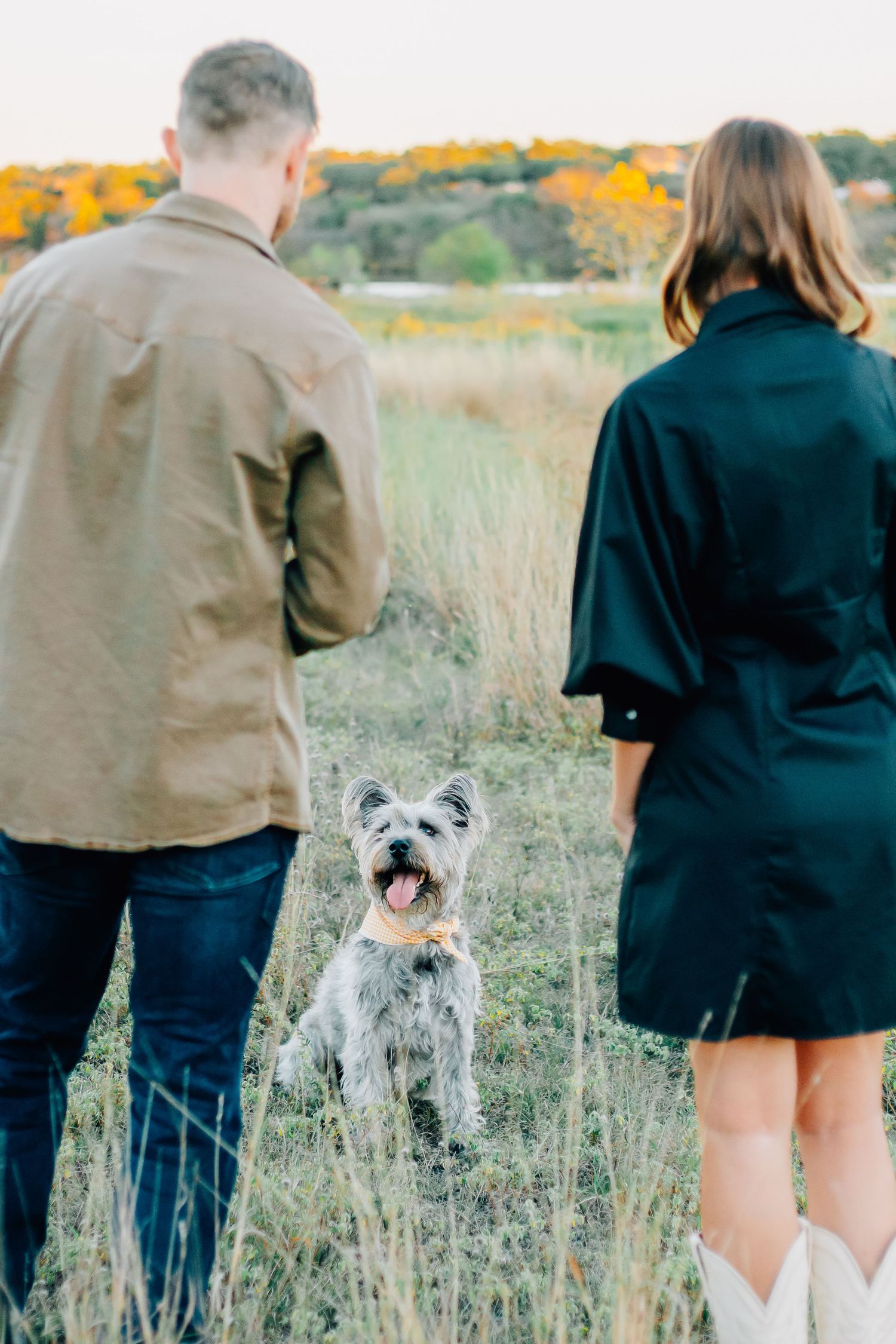 A couple walks through a field with their happy gray dog following behind.