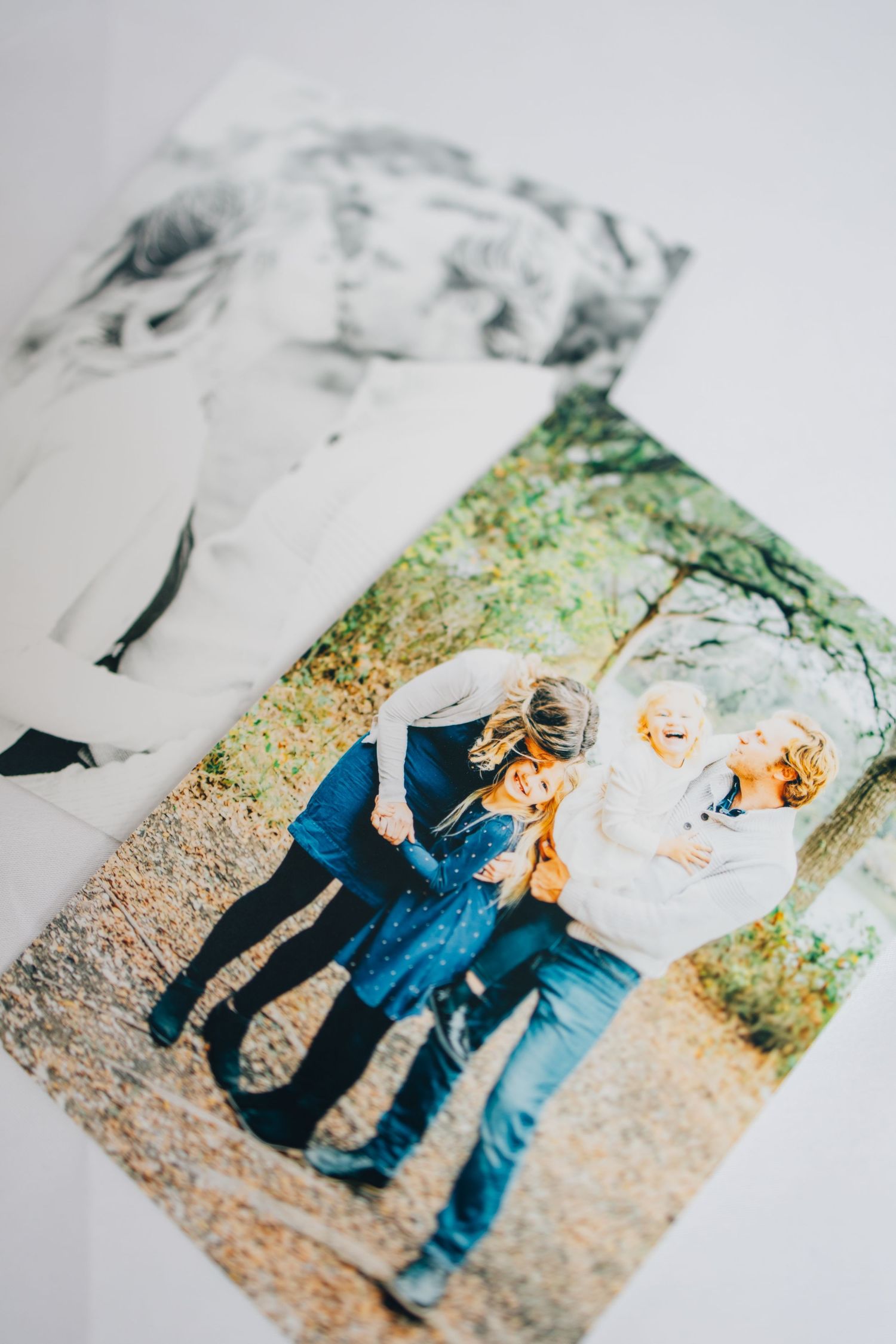 Collection of family portraits arranged with eucalyptus leaves on white background.