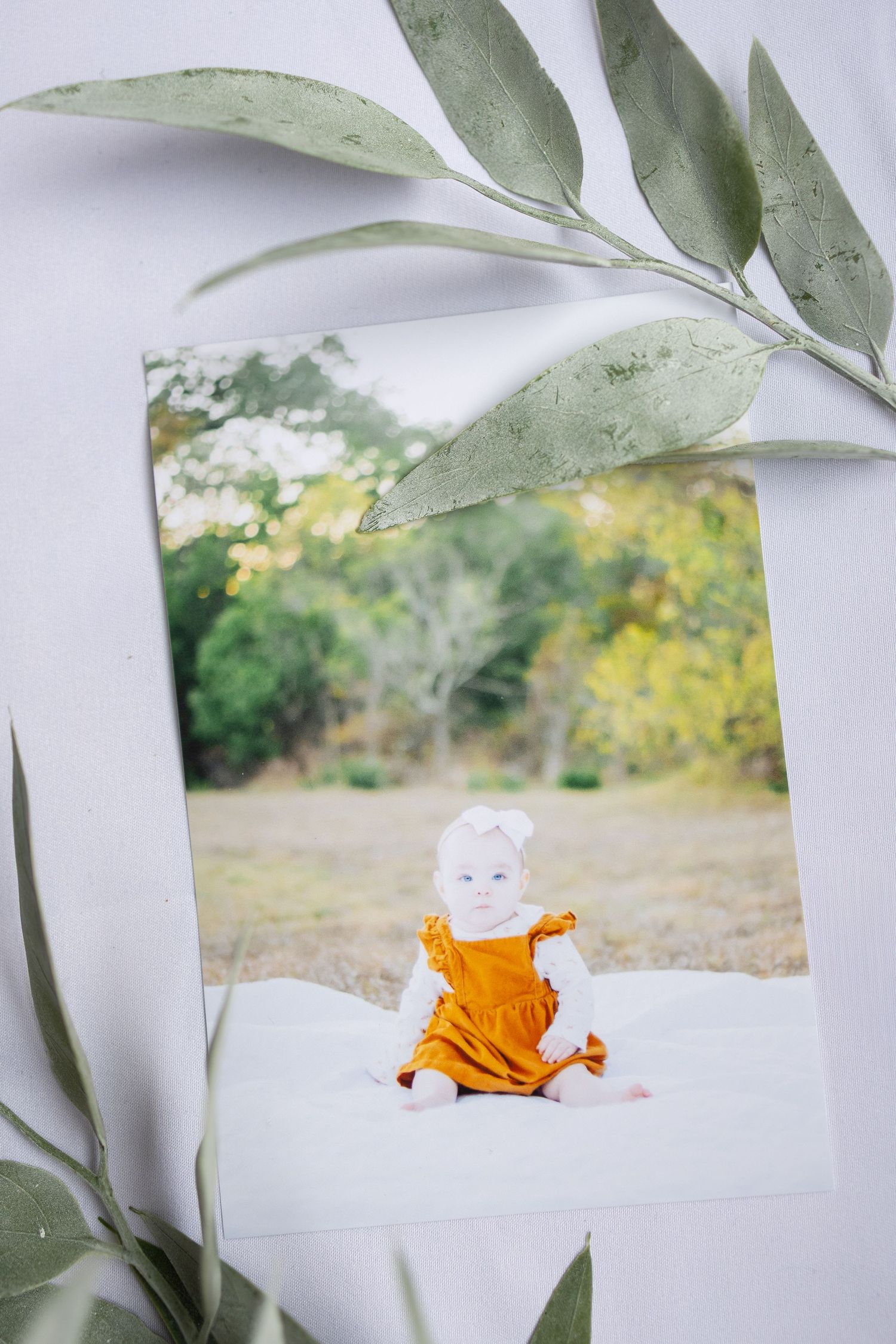 Professional photograph prints displayed on white surface with green eucalyptus leaf decoration.
