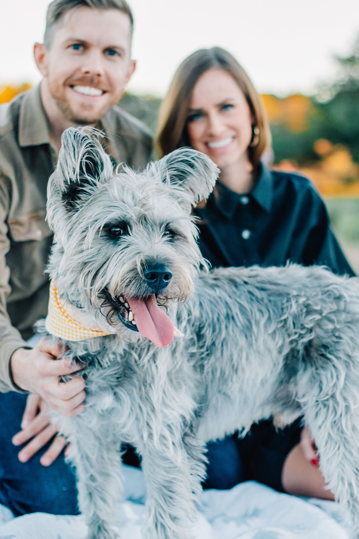 A happy grey terrier dog poses with its owners during an outdoor photo shoot.