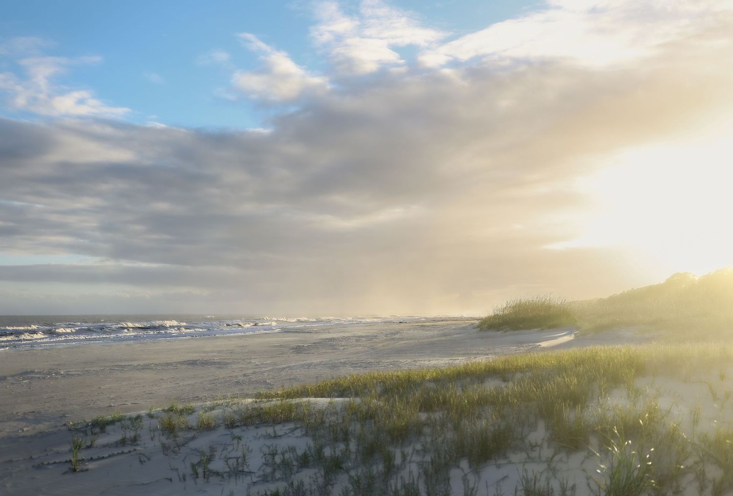 Hilton Head family photography location at sunset with glowing sand and trees along the beach on Hilton Head Island