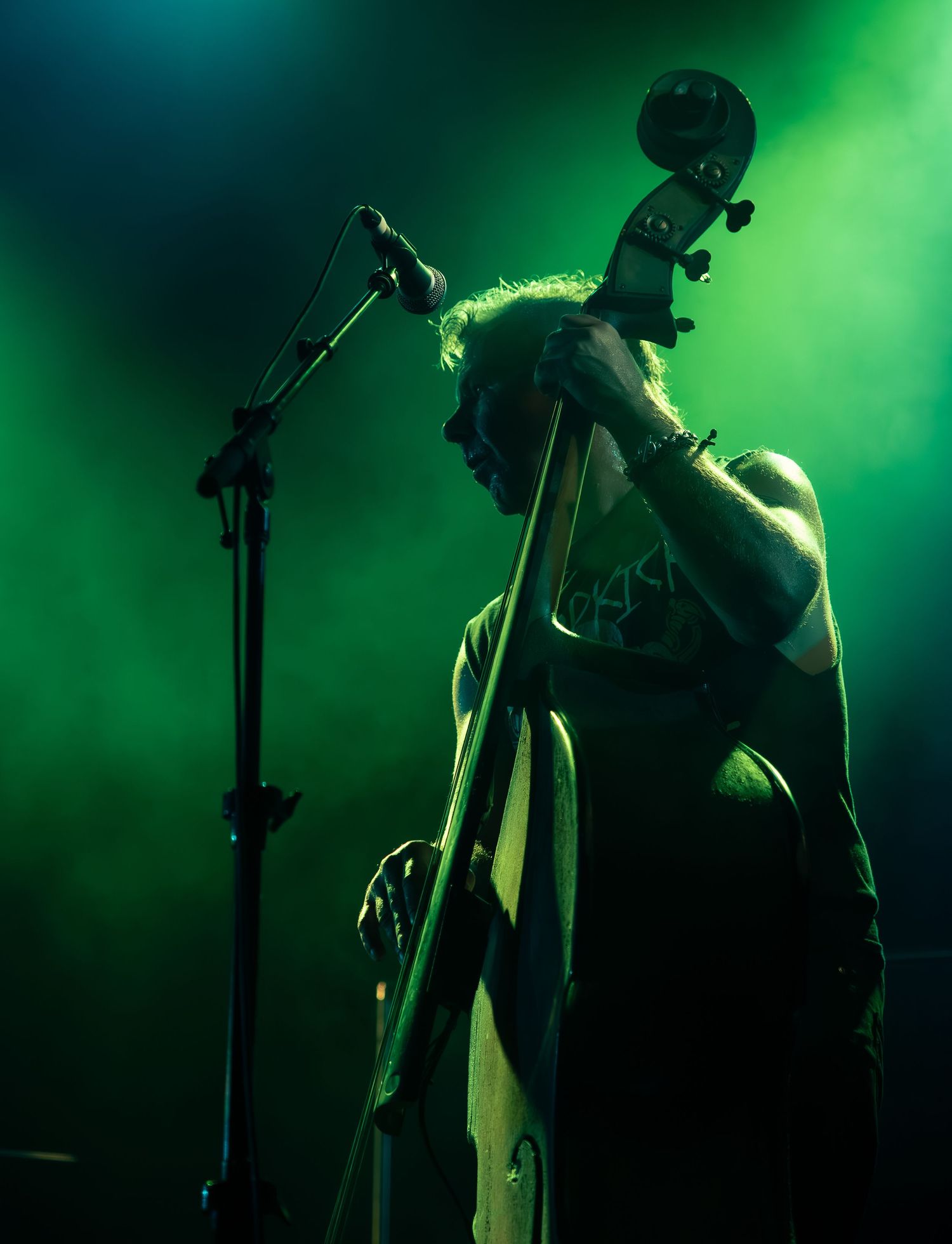 Double Bassist from The Living End plays upright double bass on stage bathed in dramatic green lighting with microphone stand nearby.