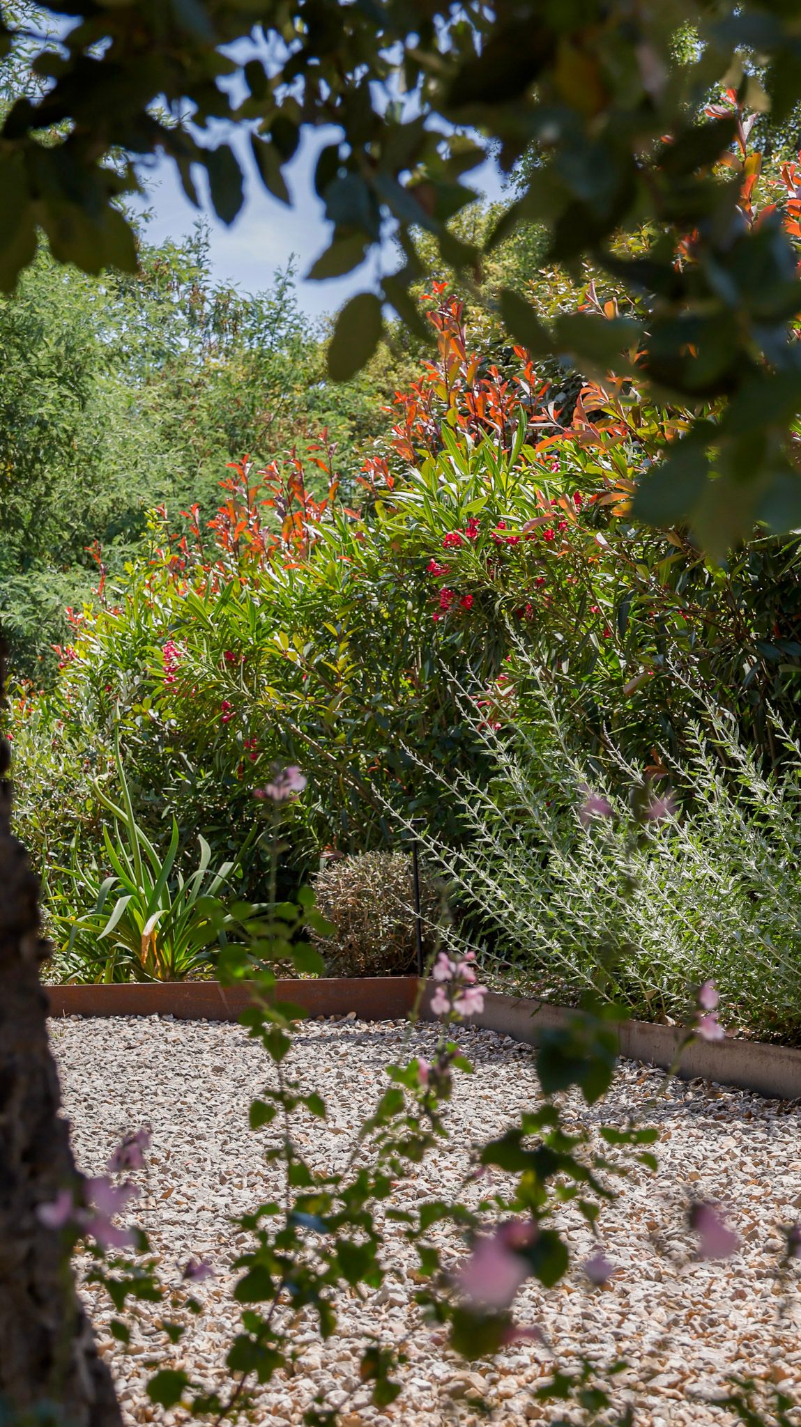 flowers - landscaped garden