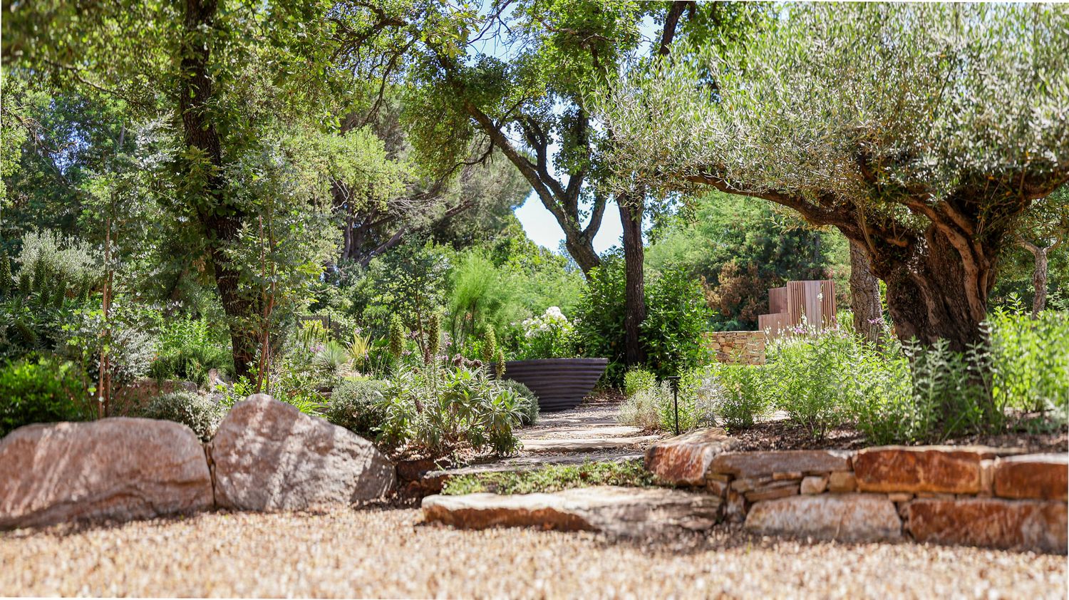 landscaped garden