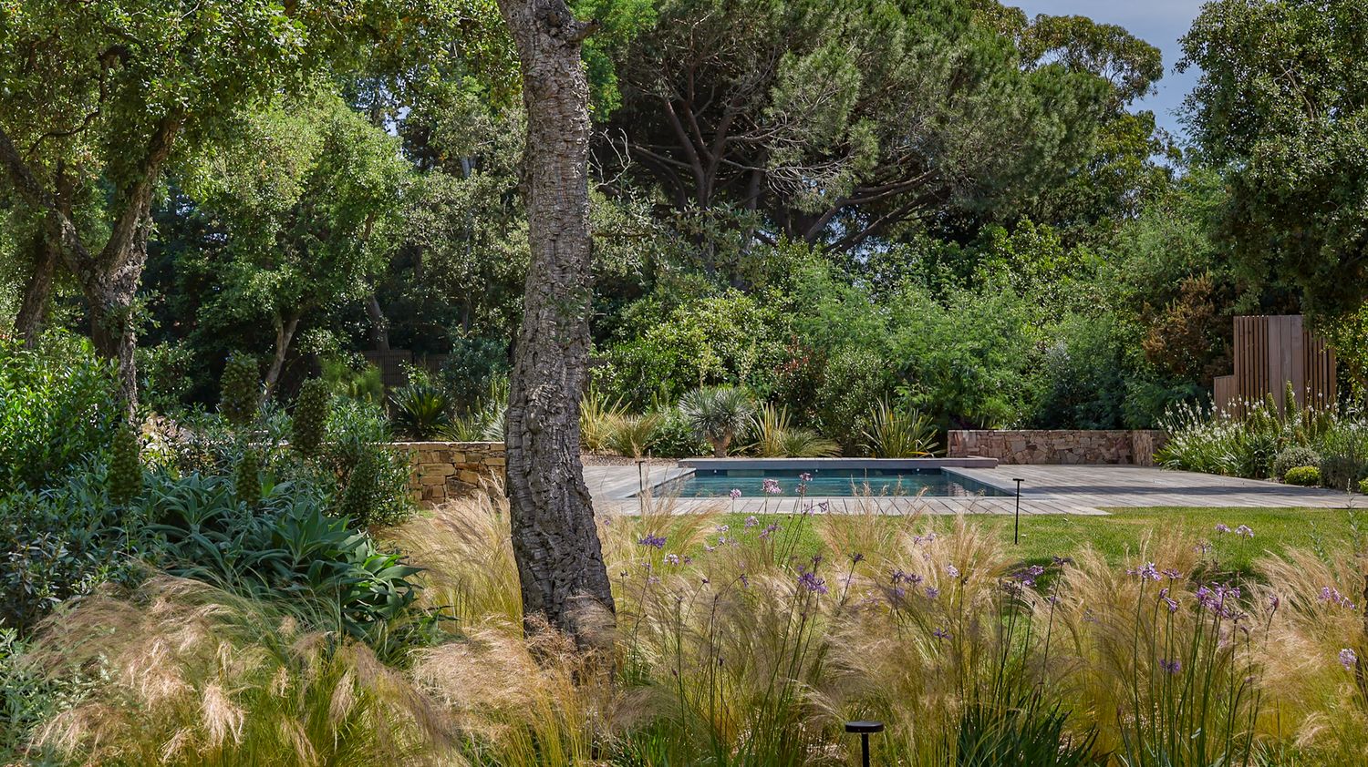 landscaped garden