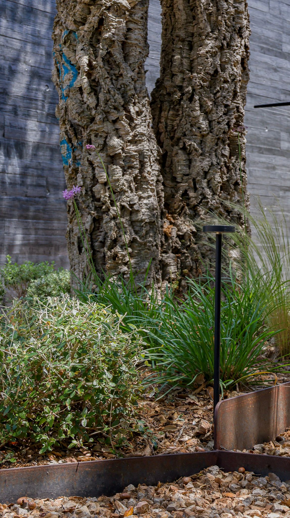 Lighting in the garden