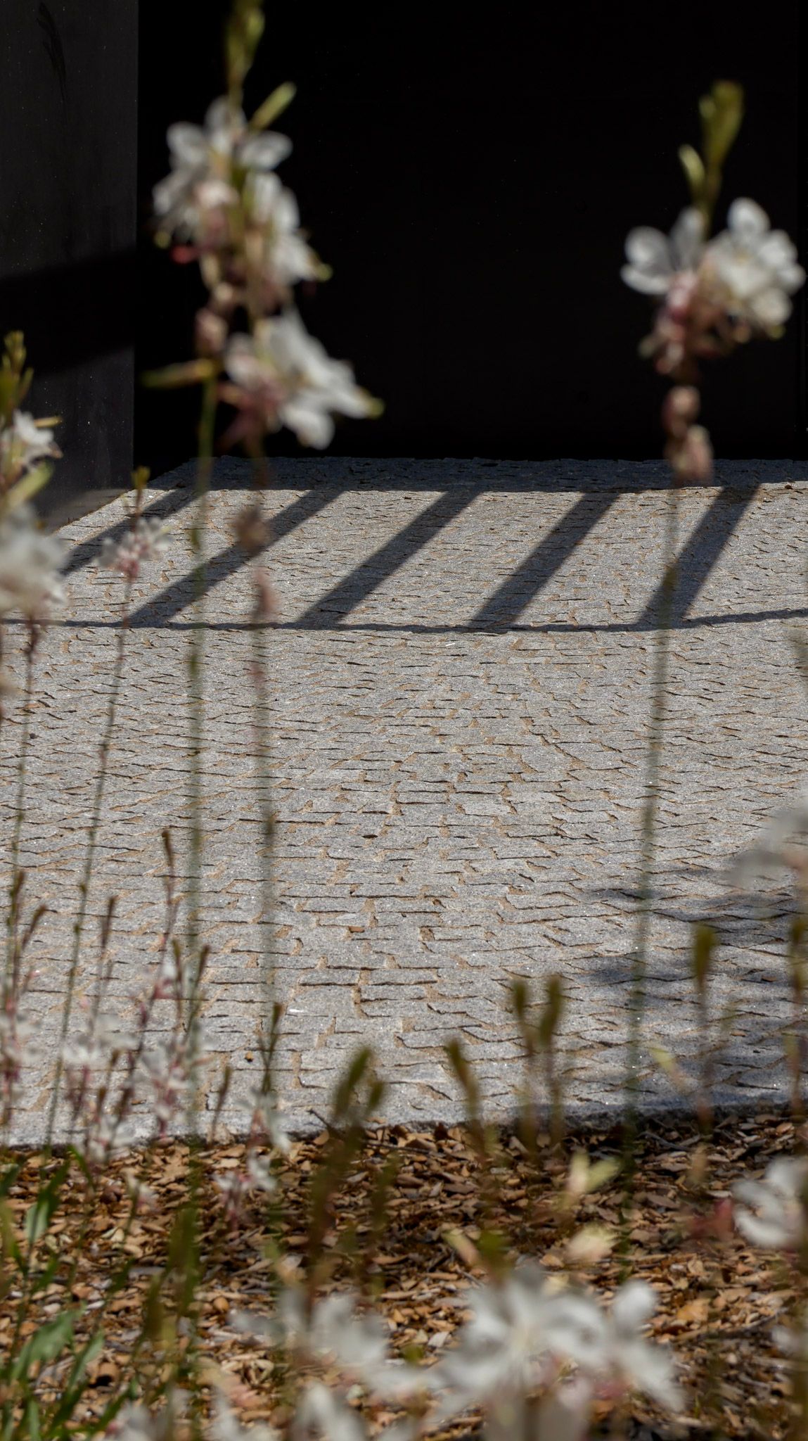 Detail of flowers and cobblestone driveway