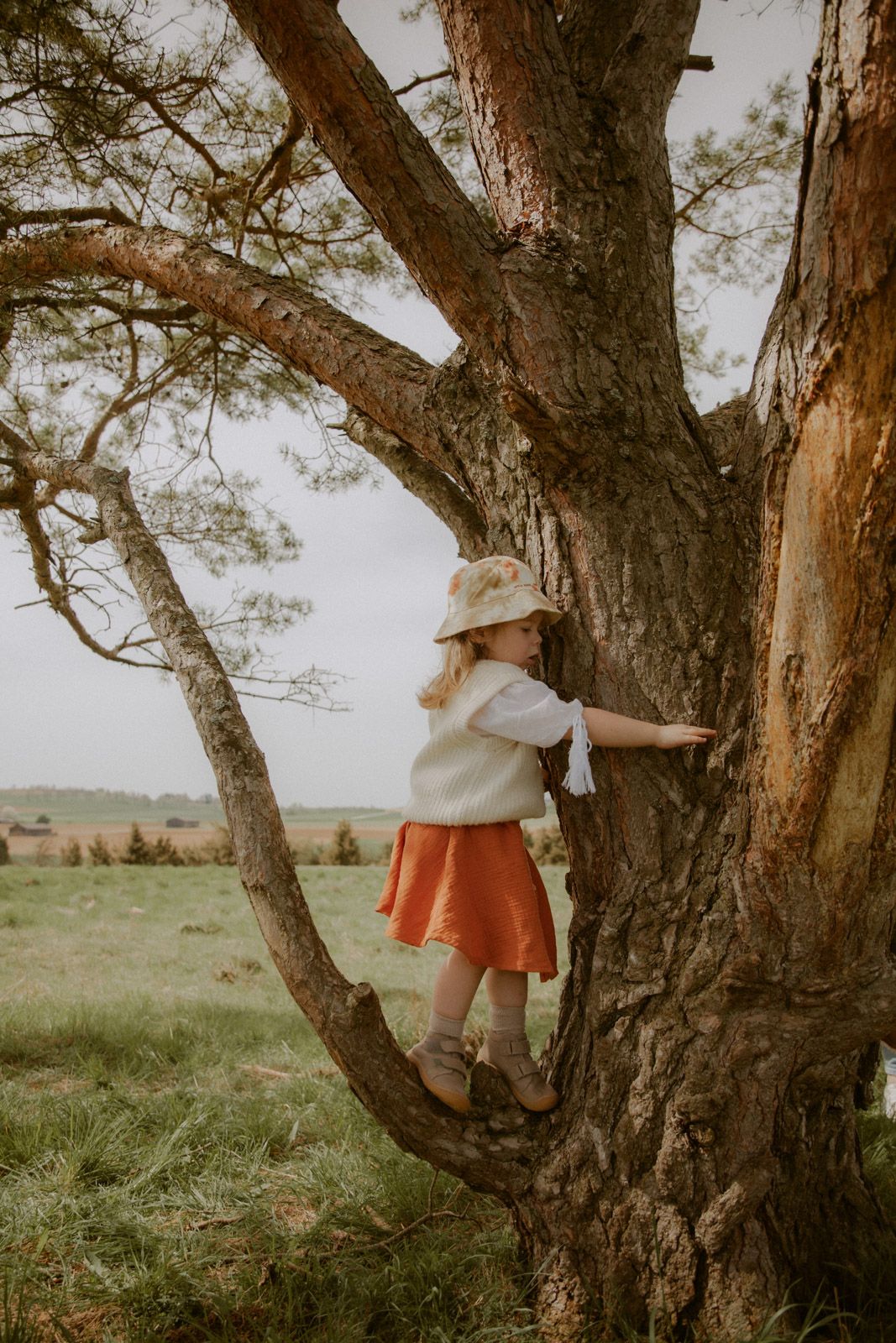 Kind klettert an einem alten Baum mit weitem Blick über die Landschaft