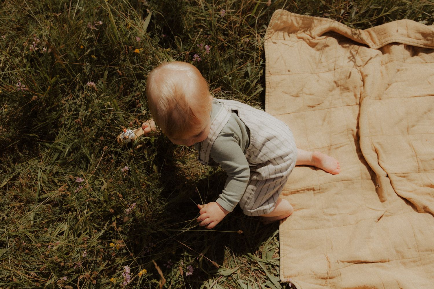 Baby krabbelt auf einer Decke im Gras von oben fotografiert