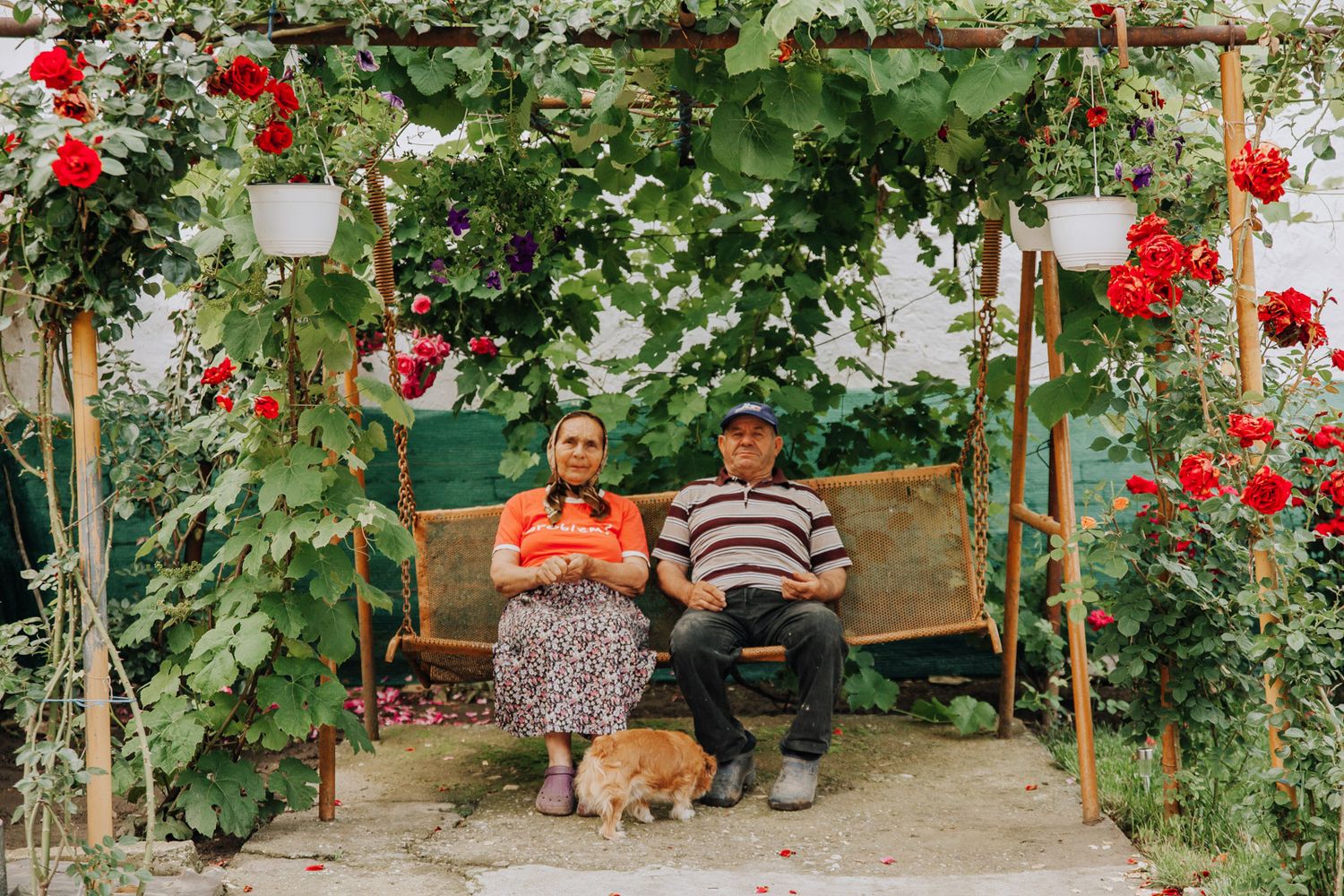 Älteres Paar sitzt unter einer Rosenlaube im Garten