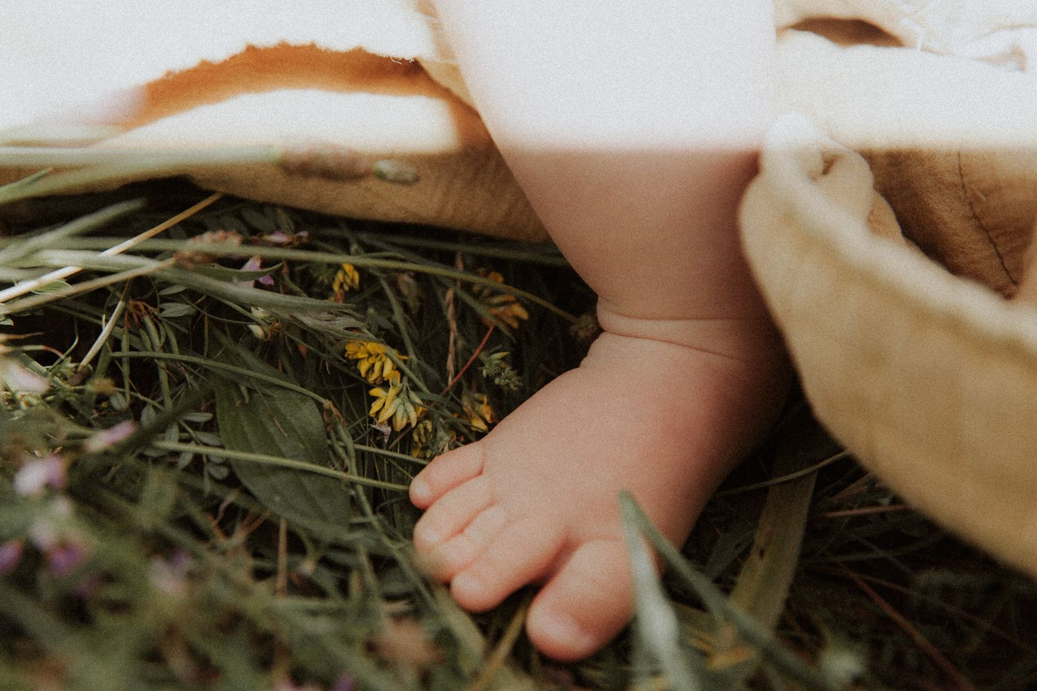 Zarte Babyfüße liegen in einem Weidenkorb zwischen Wildblumen