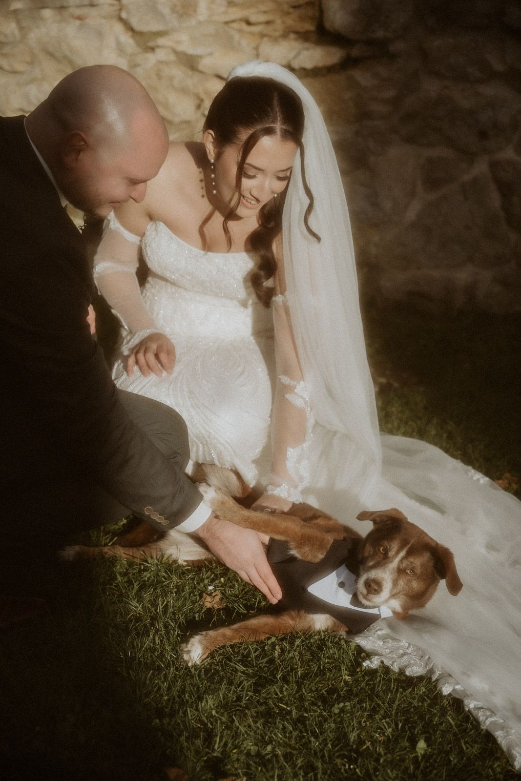 Brautpaar sitzt zärtlich zusammen mit ihrem Hund – Hochzeitsfotografin Ingolstadt