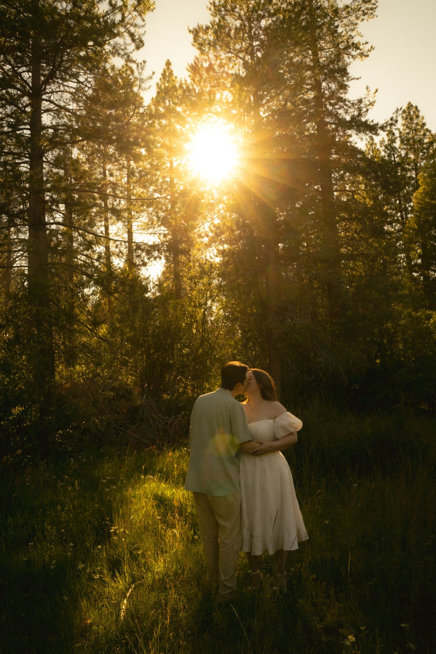 Romantic couple holding each other with stunning sunburst shining through pine forest.