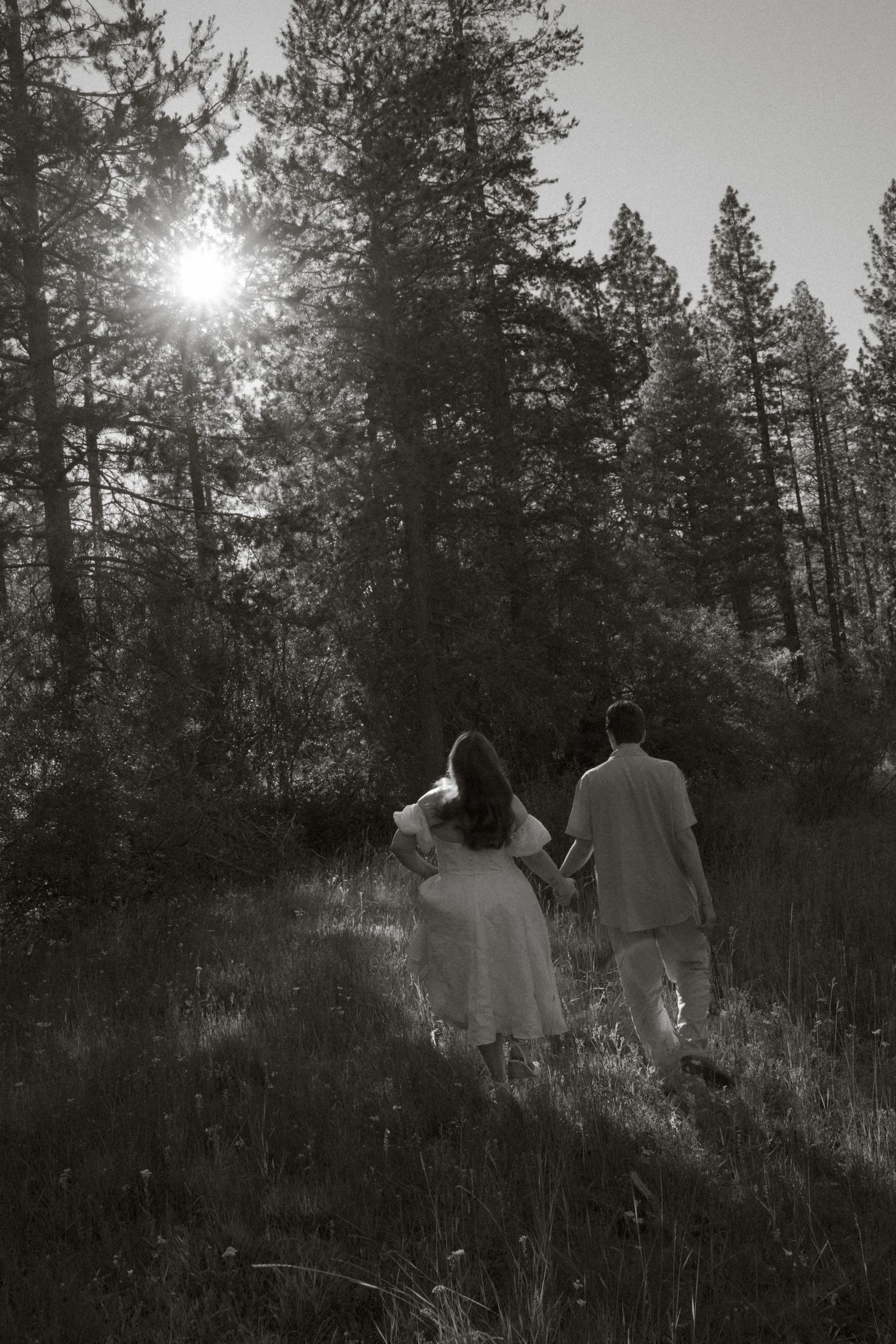 Black and white photo of couple walking hand-in-hand toward sunlit pine forest.