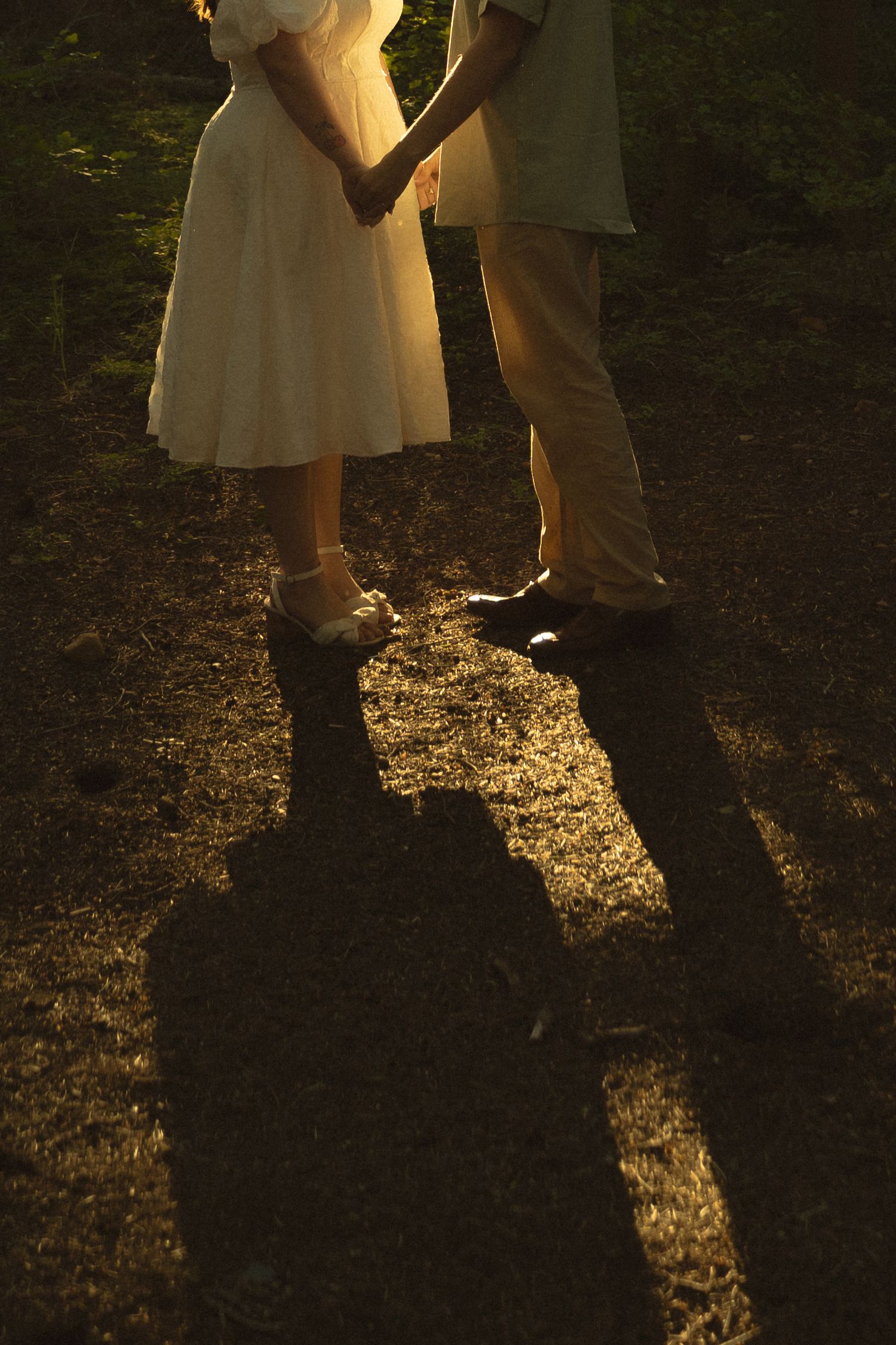 Couple holding hands casting long shadows on forest floor in warm sunset light.