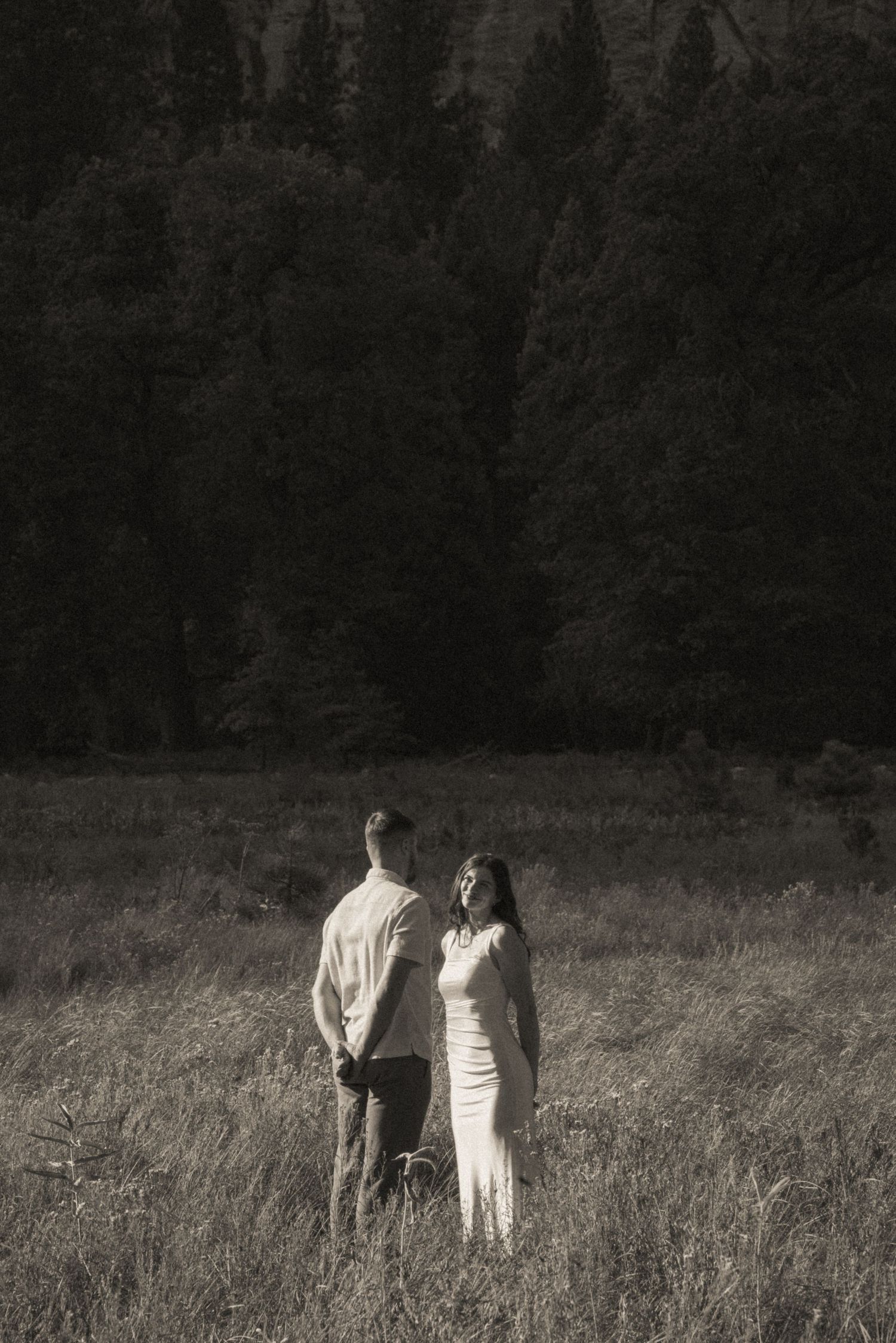 Couple standing in a meadow with tall evergreen trees in the background, black and white romantic outdoor photo.