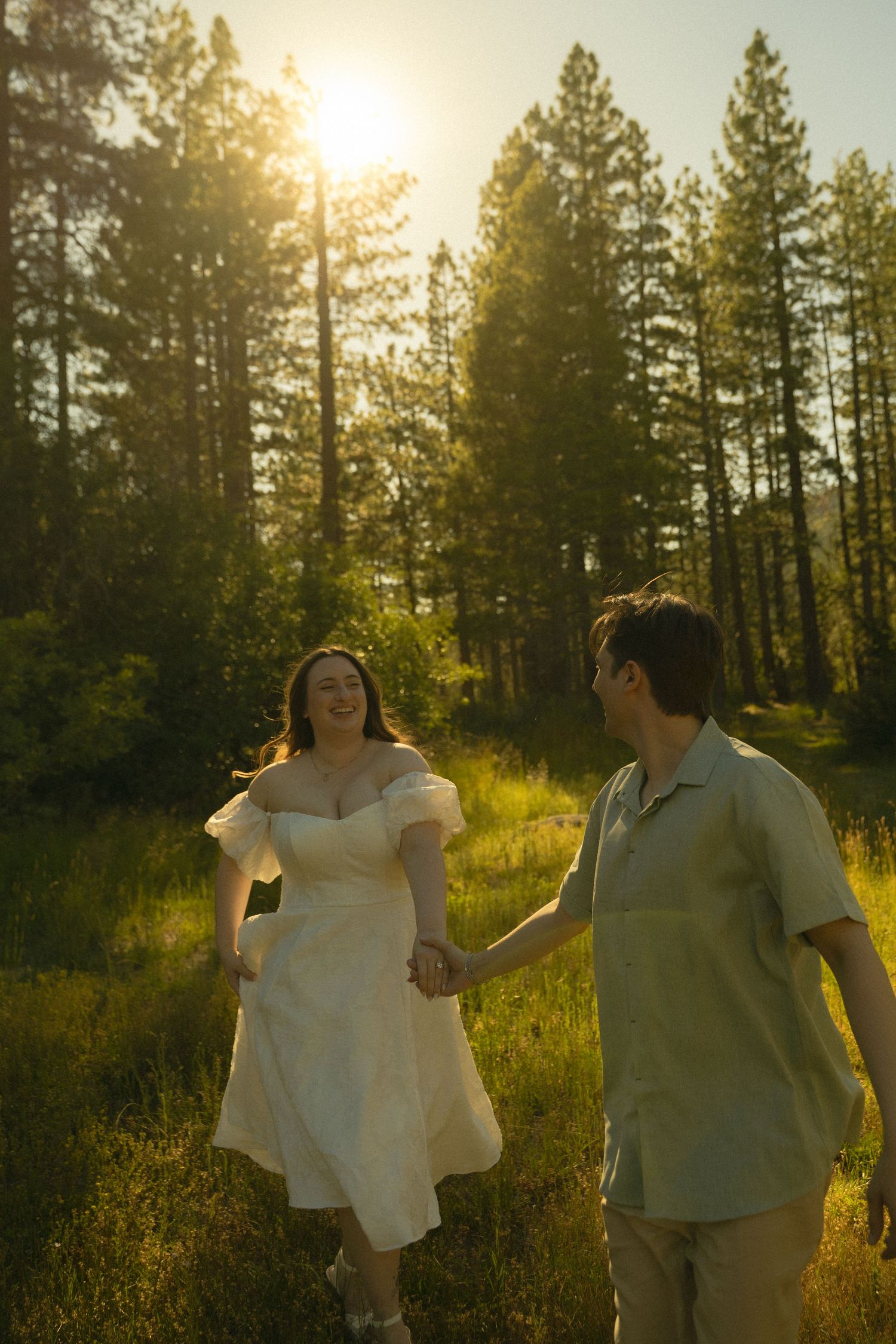 Couple holding hands walking through golden sunlit meadow with tall pine trees.