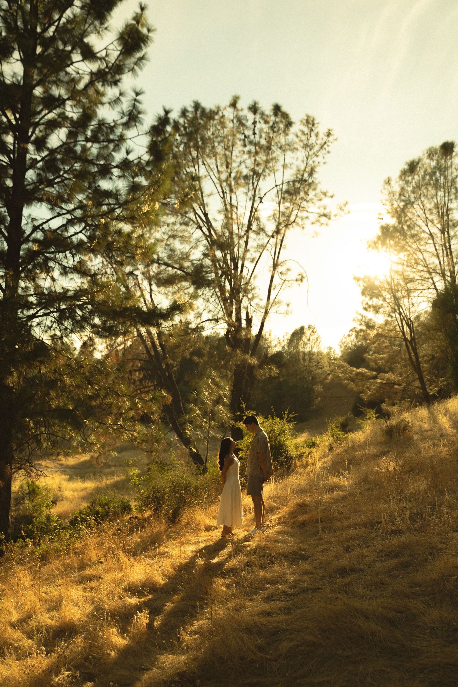 Couple holding hands on a sunlit trail surrounded by golden grass and trees during a warm sunset.