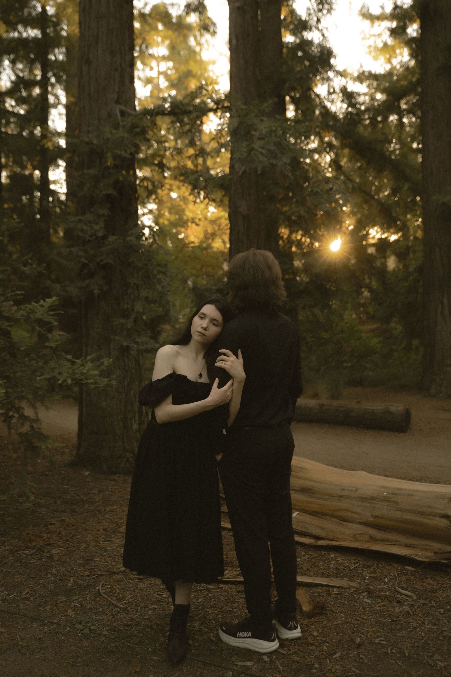 A couple embraces in a moody redwood forest with warm golden sunset light filtering through trees.