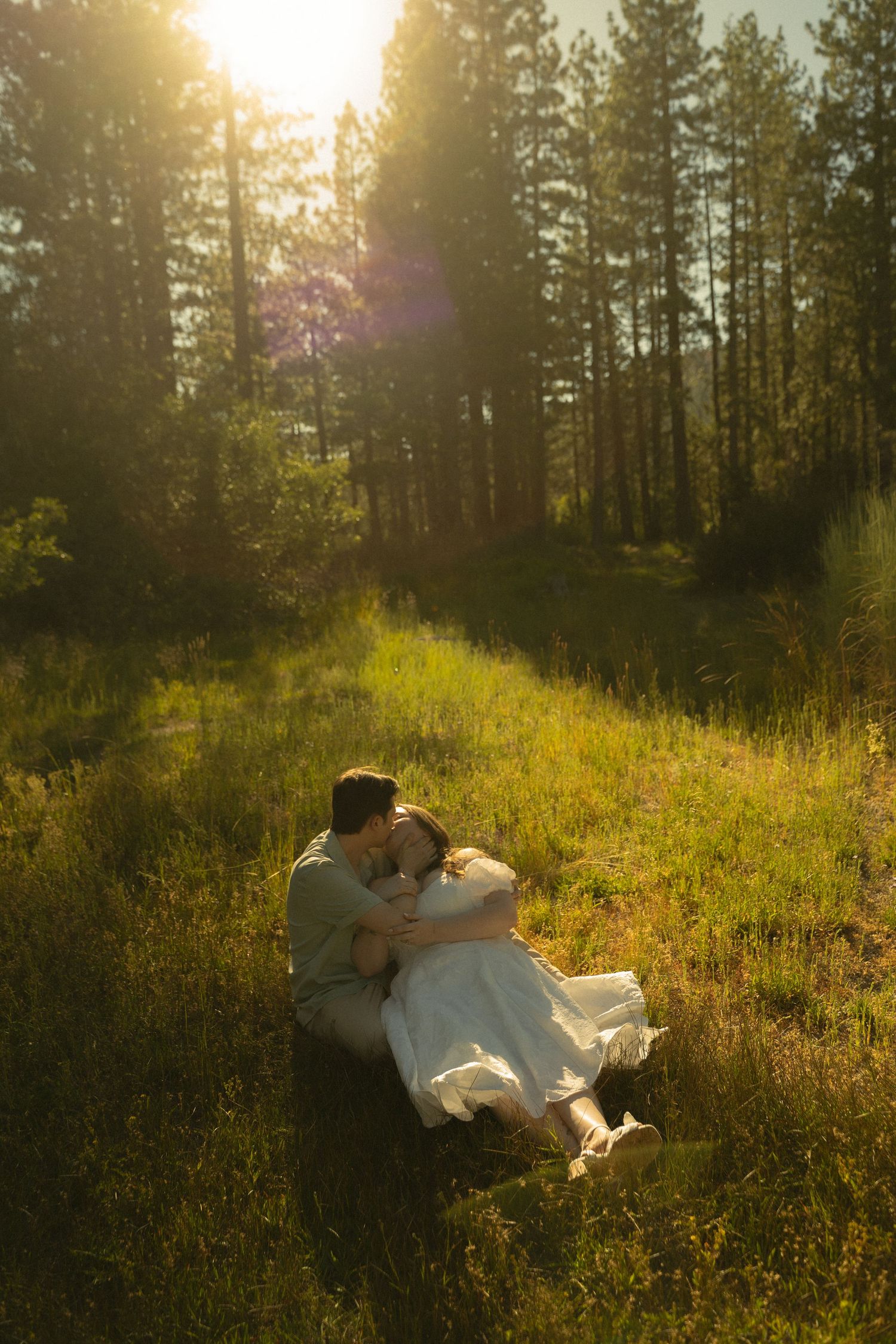 Couple sharing a tender embrace while sitting in a sunlit forest meadow surrounded by tall pines.