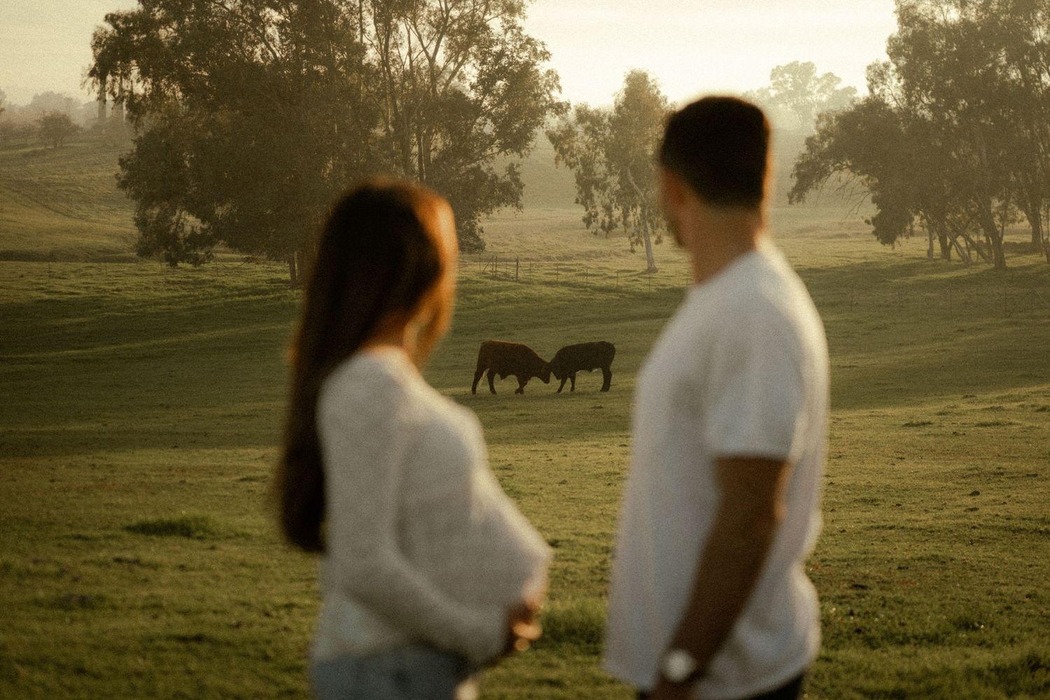 Expectant couple in white standing in misty field with horses grazing in soft morning light.