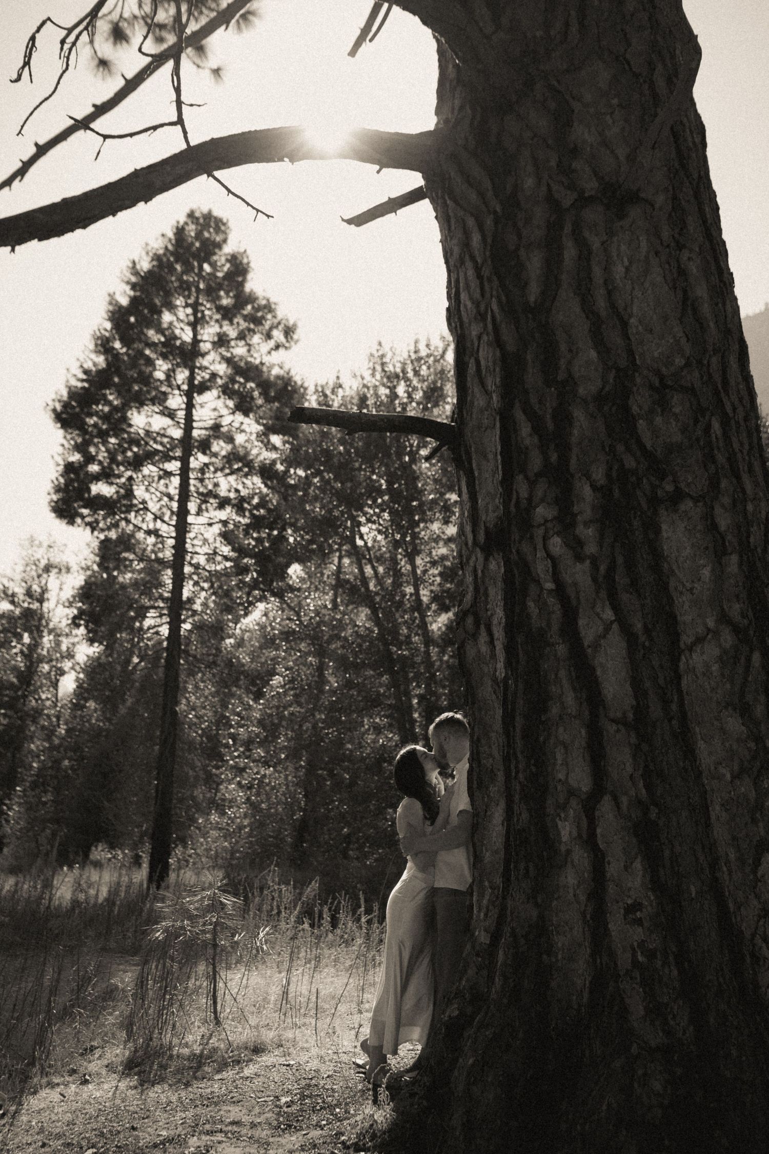 Couple embracing by a large tree trunk in a forest, captured in romantic black and white photography.