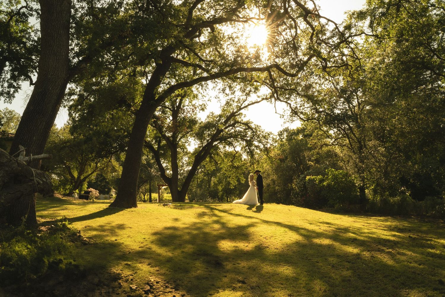 A couple stands together in a sunlit green park beneath sprawling oak trees in warm afternoon light.