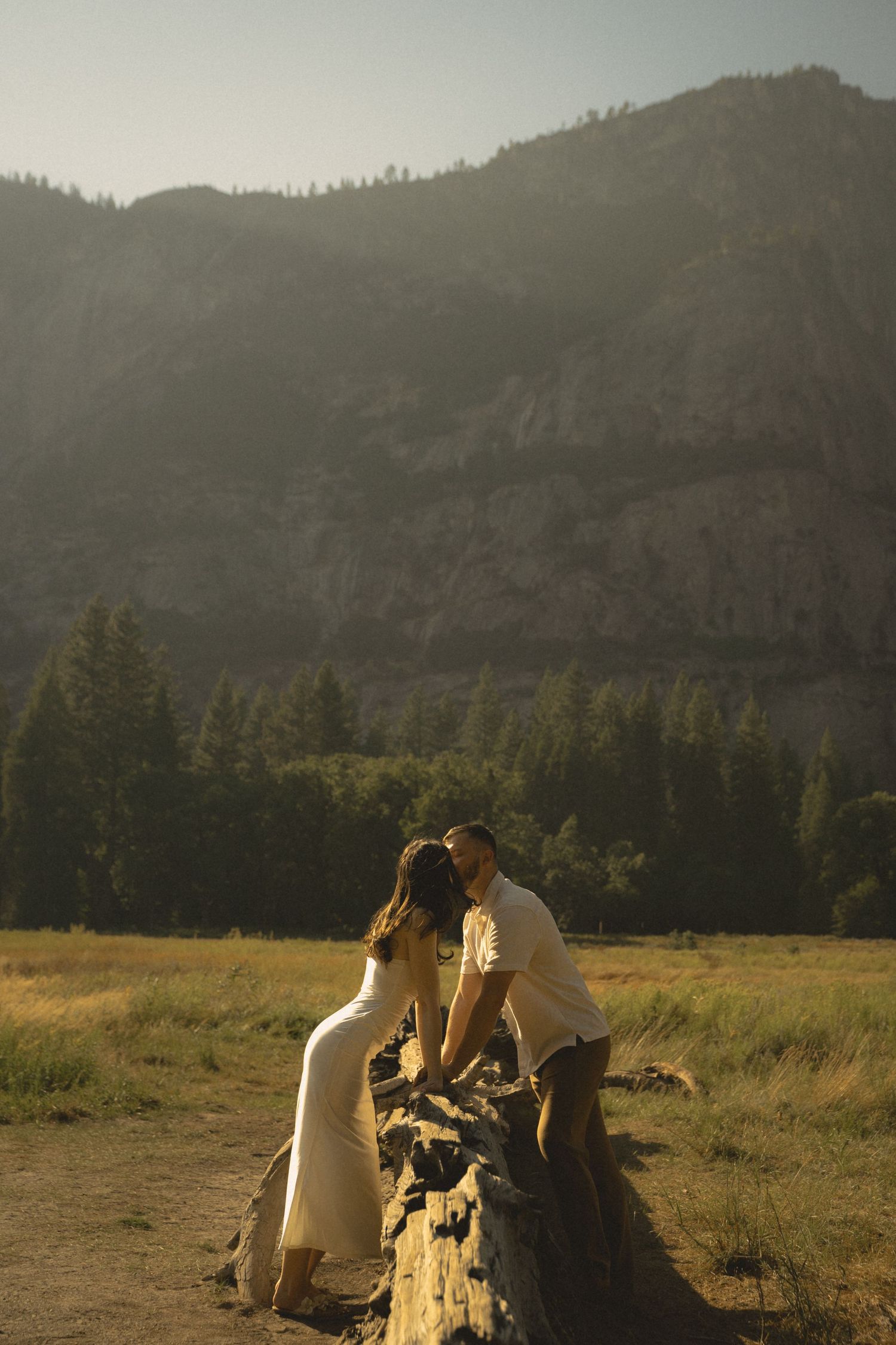 Couple sharing a romantic kiss on a log in a sunlit mountain meadow with pine trees and rocky peaks in the background.