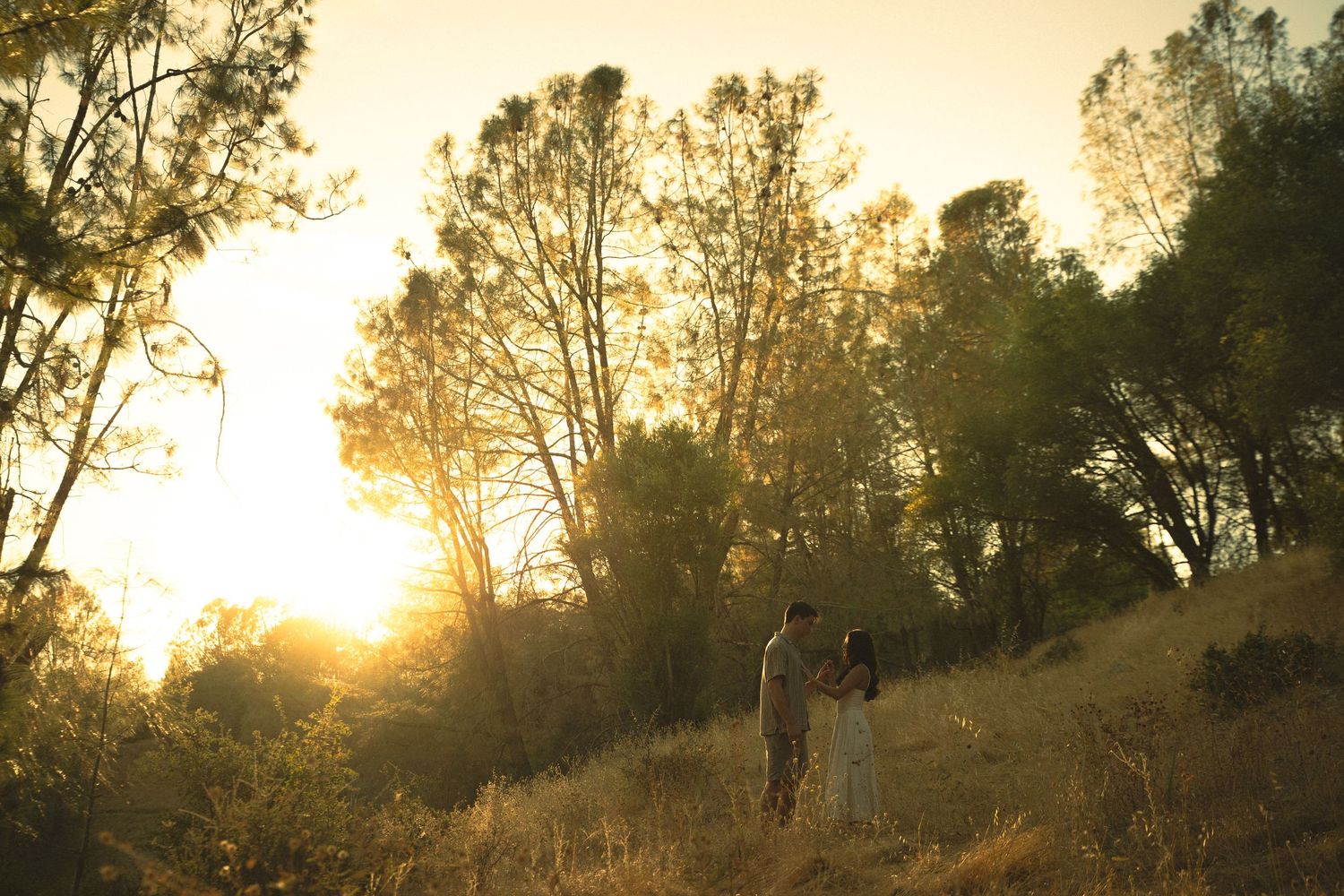 Couple holding hands at golden sunset in a lush forest clearing with warm glowing light through tall trees.