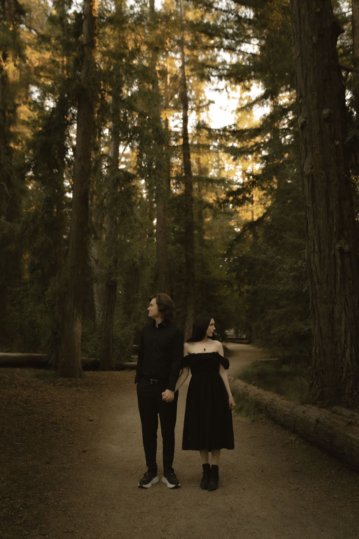 A couple walks hand in hand down a forest path surrounded by tall redwood trees at dusk.